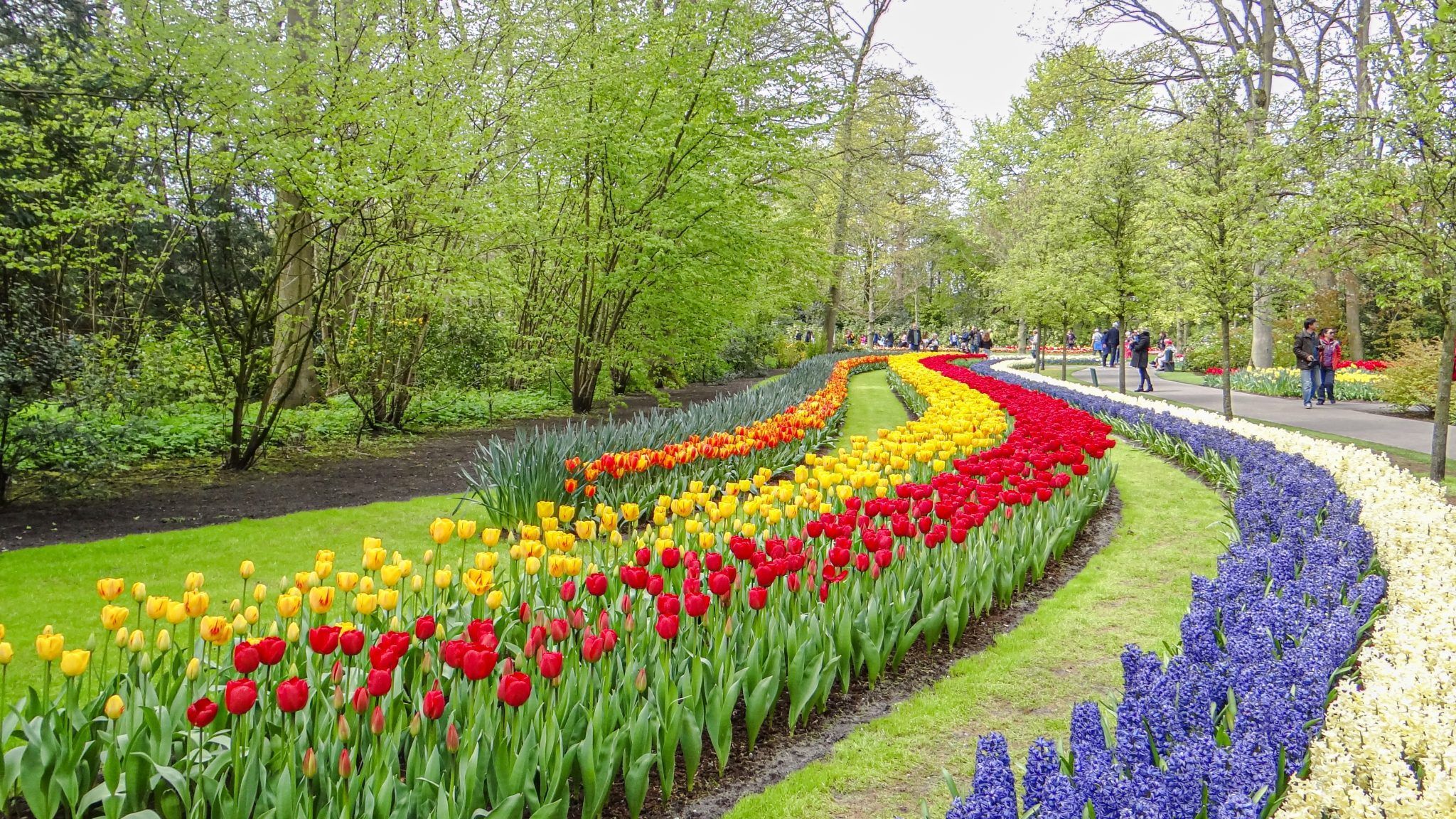 Keukenhof world's largest flower garden in Netherlands