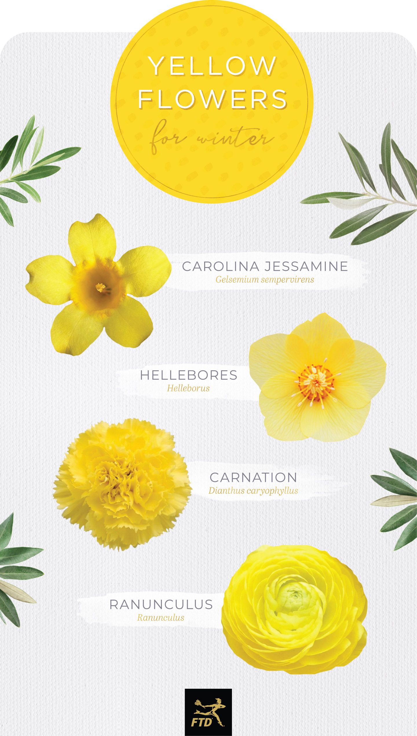 Download Tiny Yellow Flowers Green Leaves Sunlight Wallpapers Wallpaper Cave PSD Mockup Templates