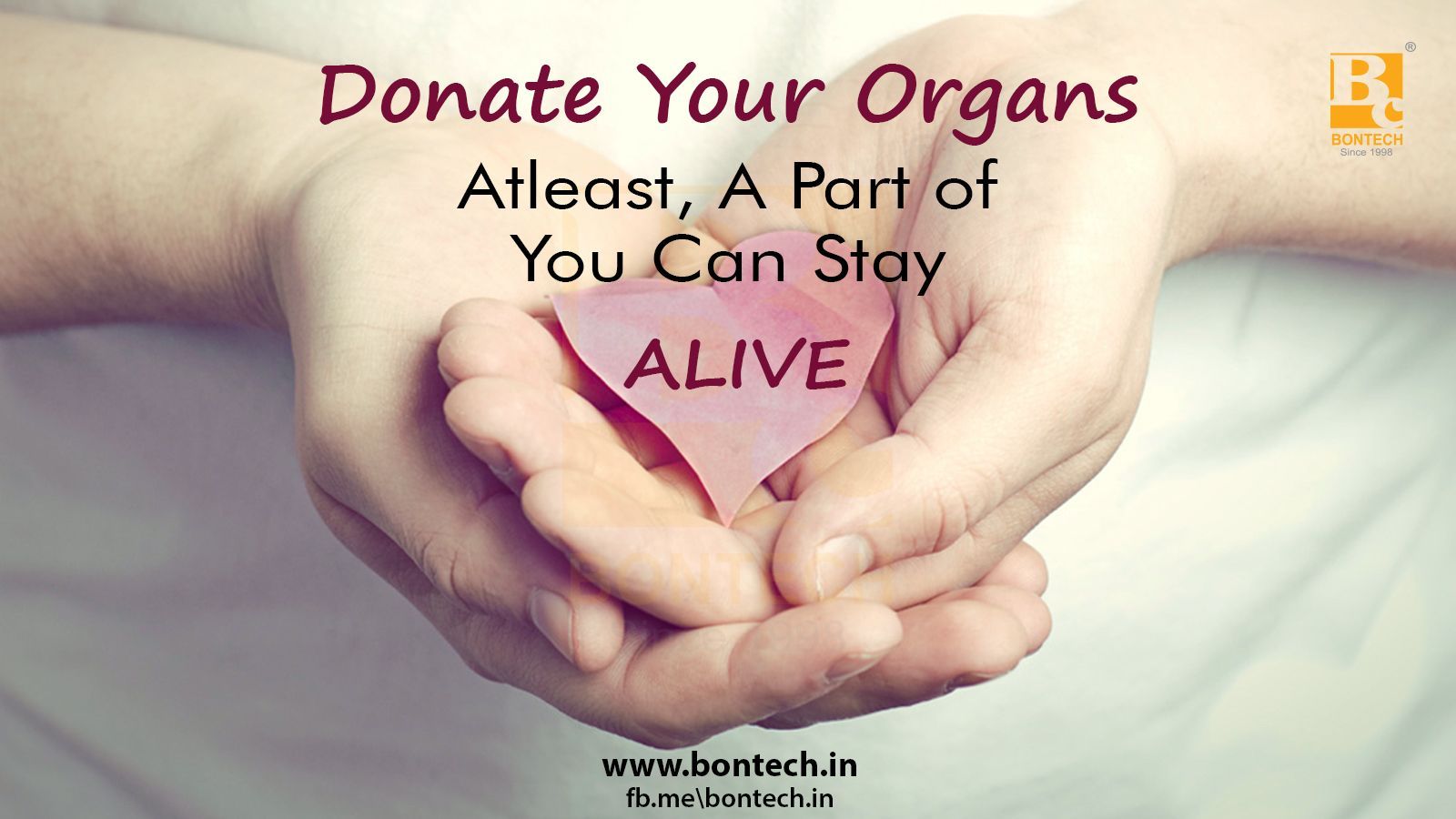 Organ Donation Day. Organ donation, Staying alive, Donate