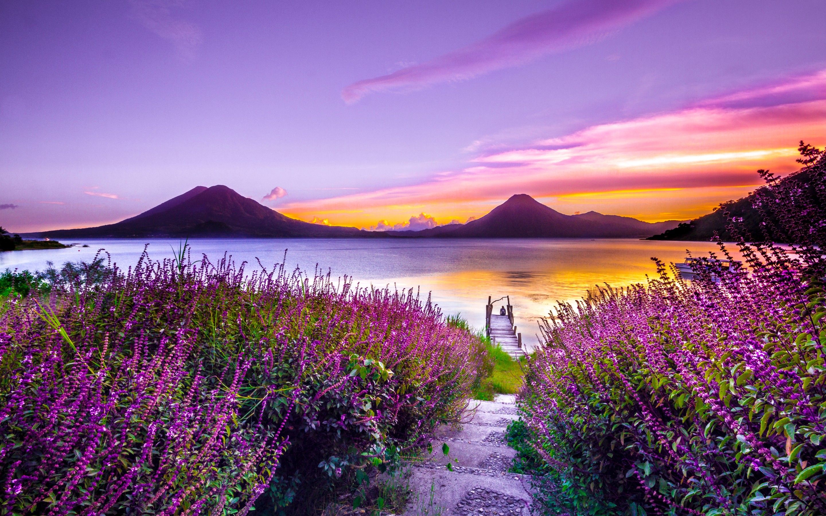 Volcano Sunset Flower Purple Dreamy Landscape 4k 5k