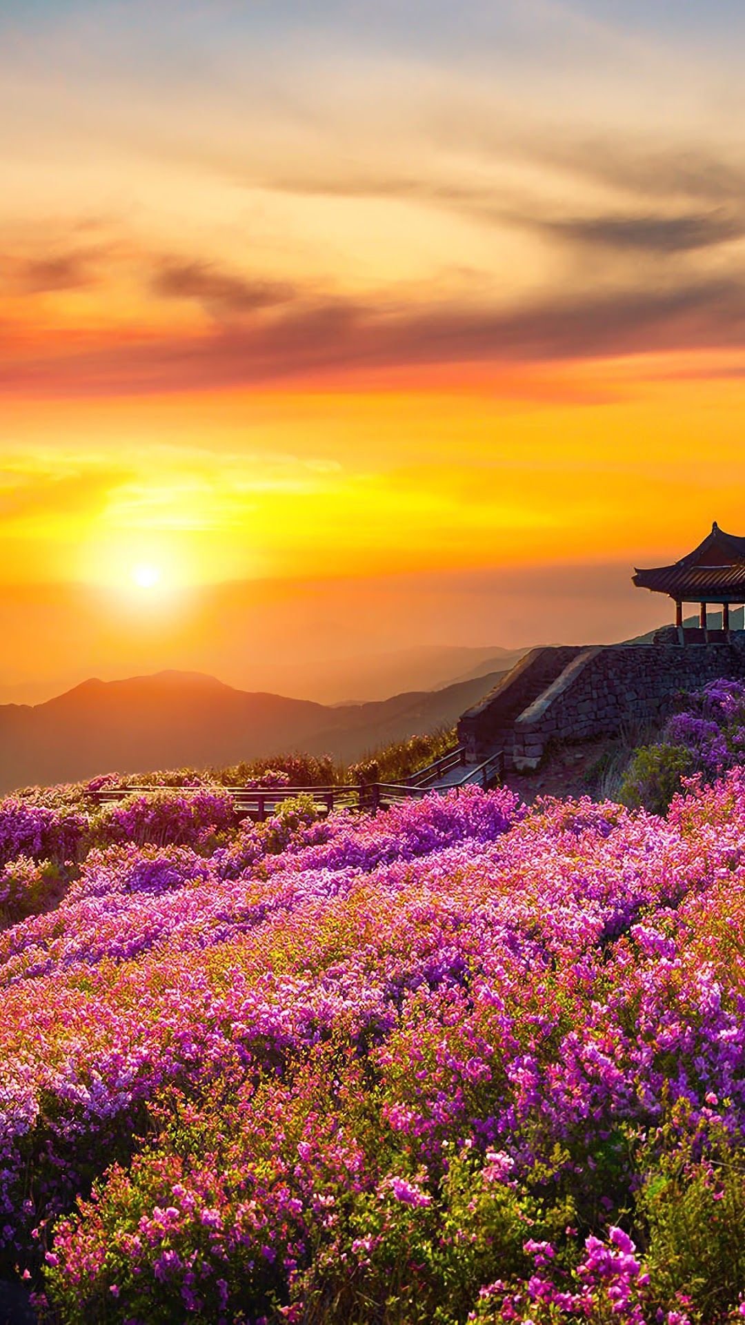 Mountain Wallpaper: Sky Meadow Flowers Sunset Mountains Nature