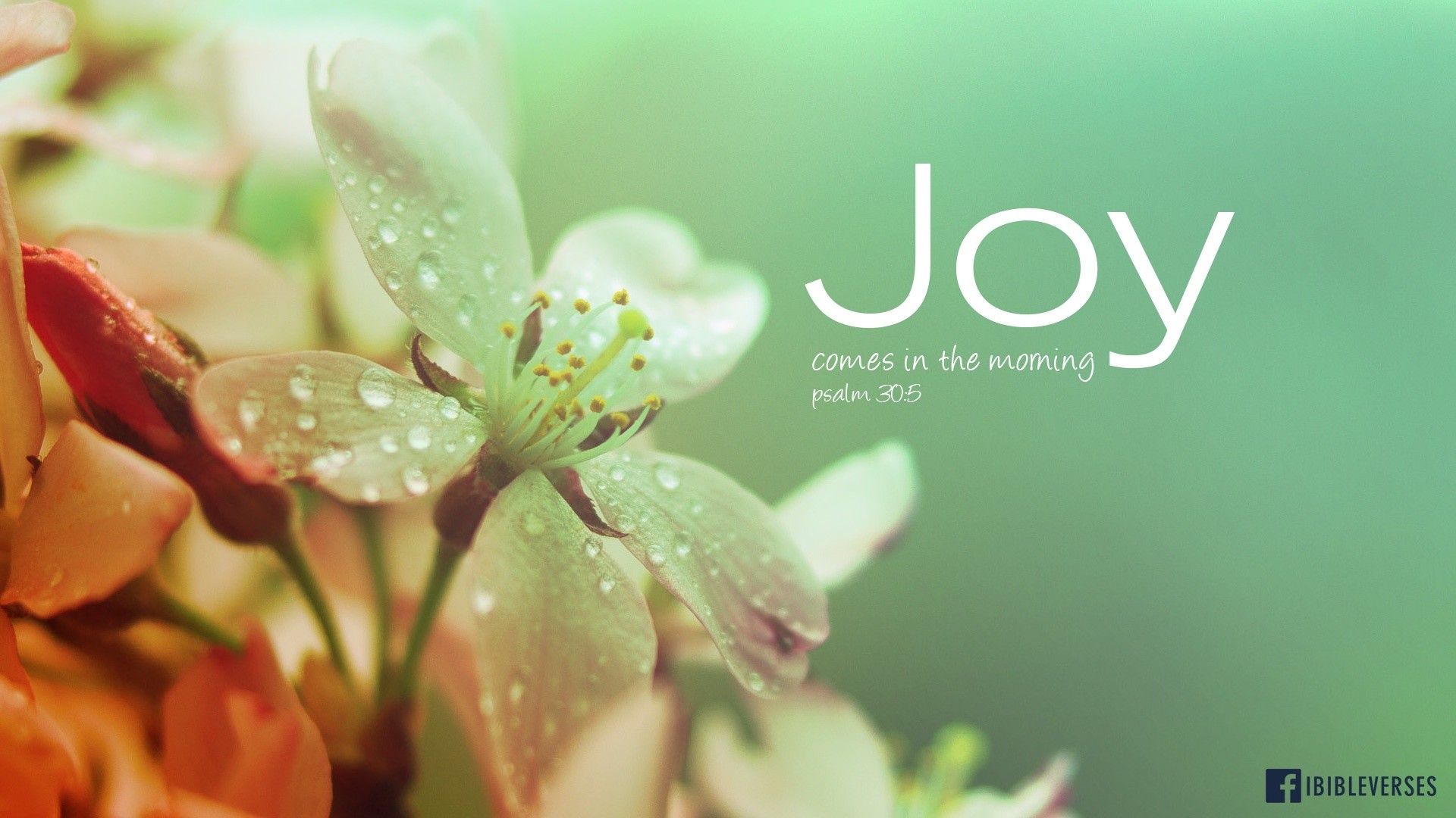 Early Spring With Bible Verses Wallpapers  Wallpaper Cave