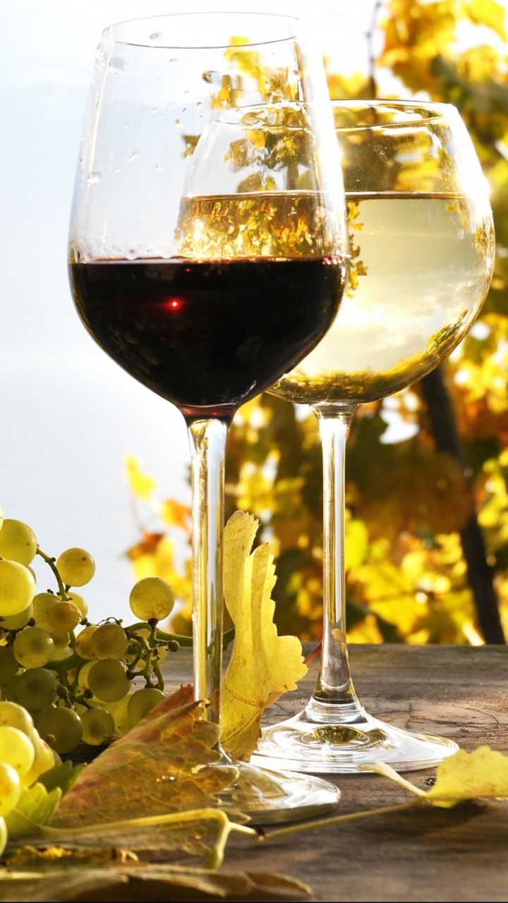 Food Wine (720x1280) Wallpaper