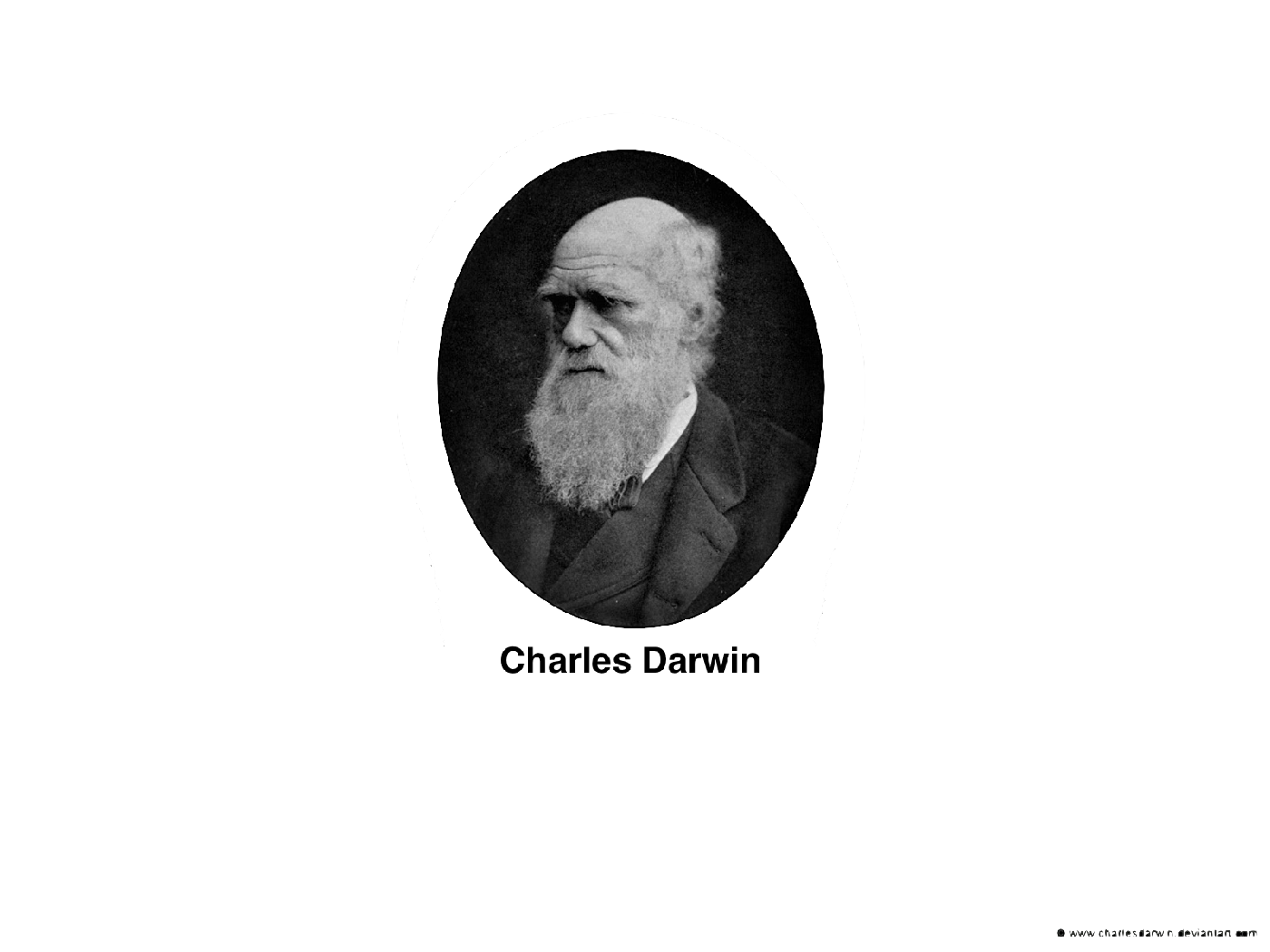 Charles Darwin Computer Wallpapers - Wallpaper Cave