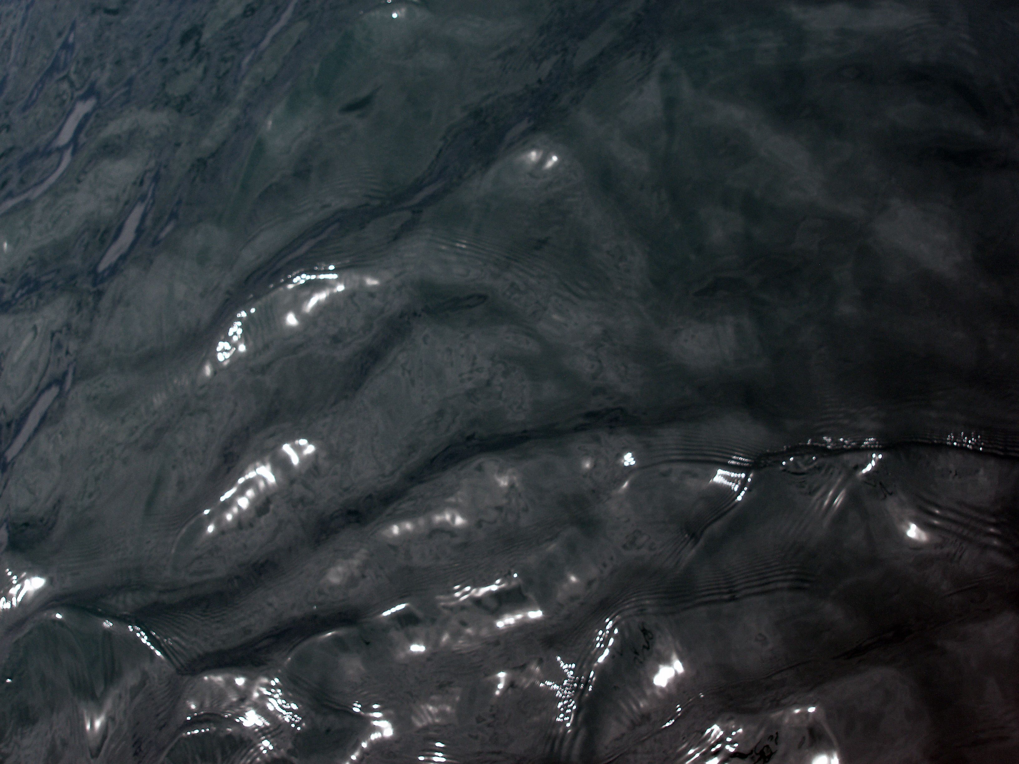 black water. Free background and textures