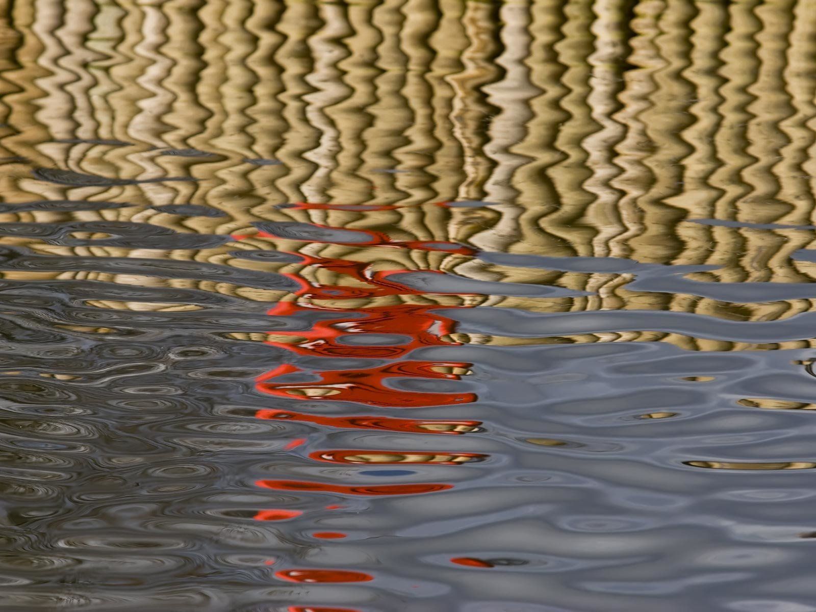 HD Wallpaper: Nature's Water Reflection