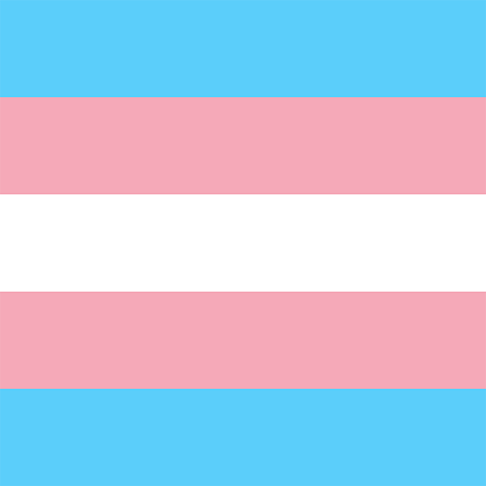 Transgender Pride Filter Facebook profile picture, Twitter