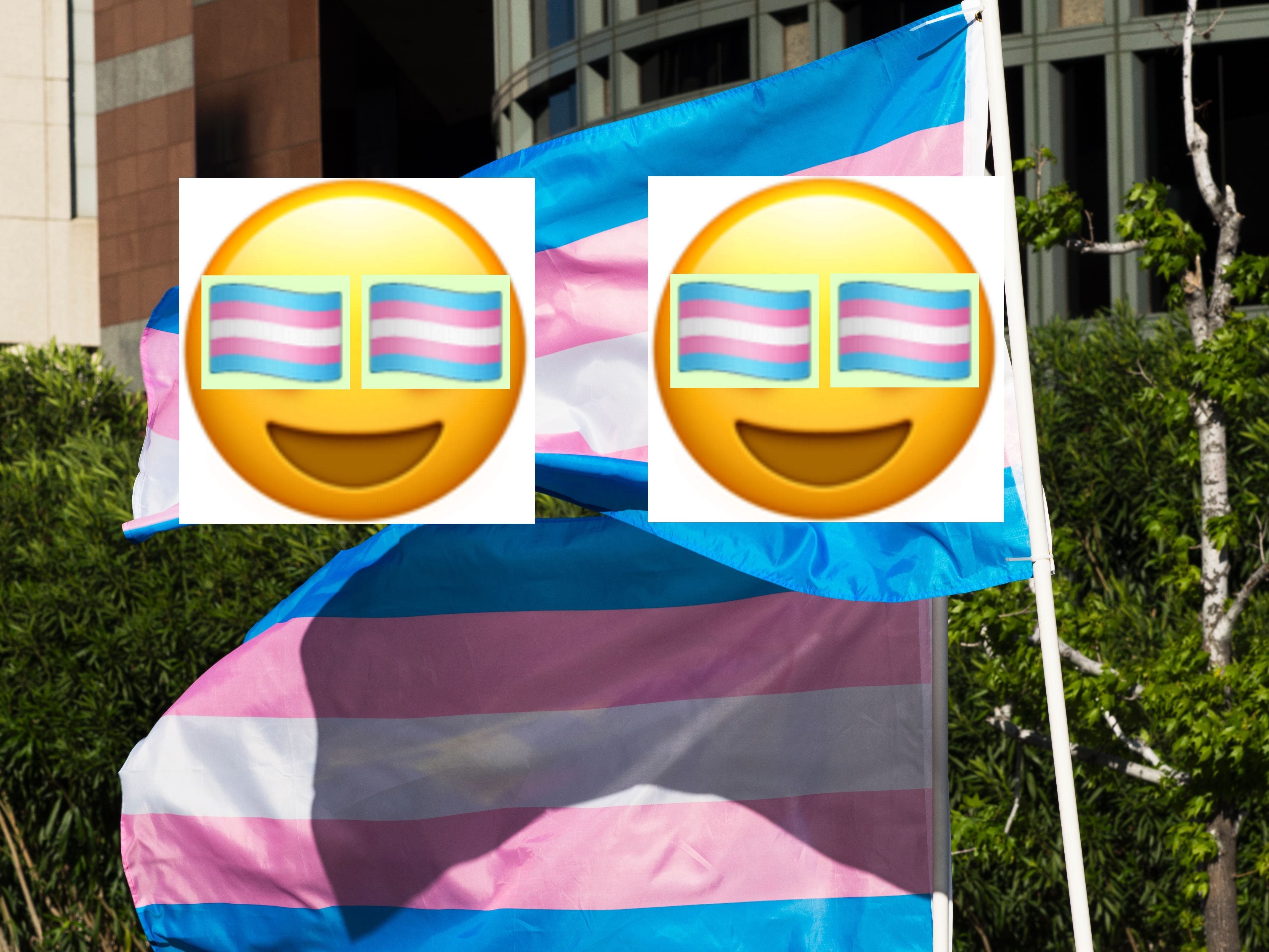 A transgender Pride flag emoji exists—here's how to get it