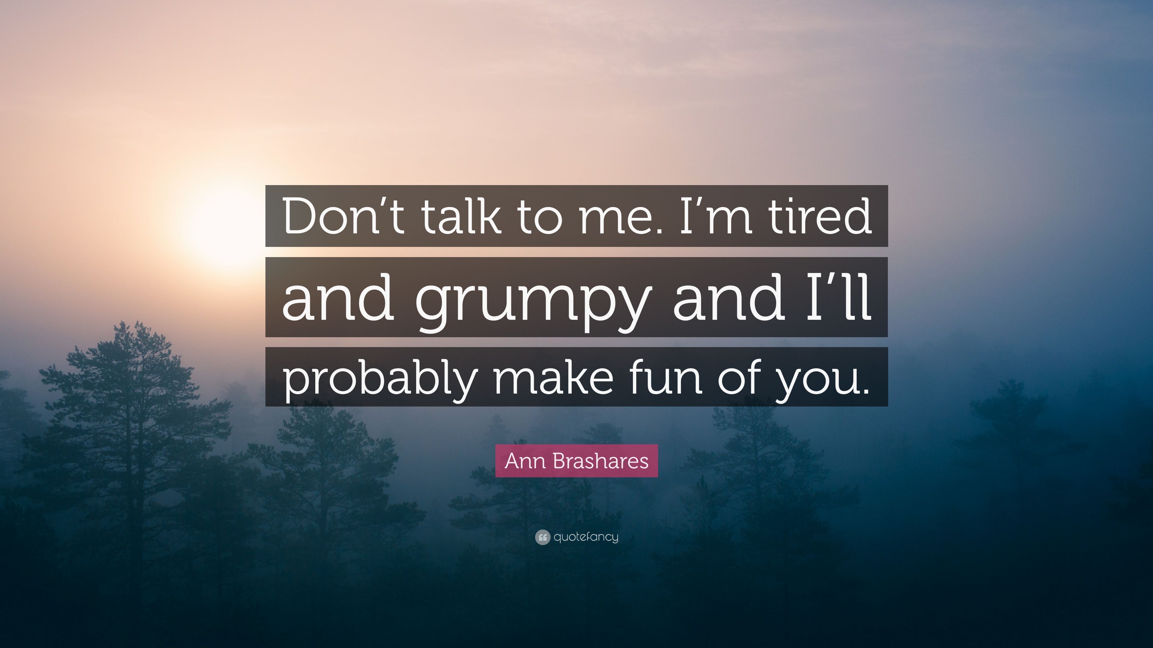 Ann Brashares Quote: “Don't talk to me. I'm tired and grumpy and I