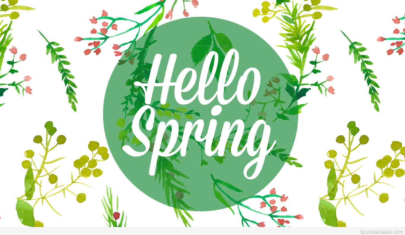 Hello Spring wallpaper hd