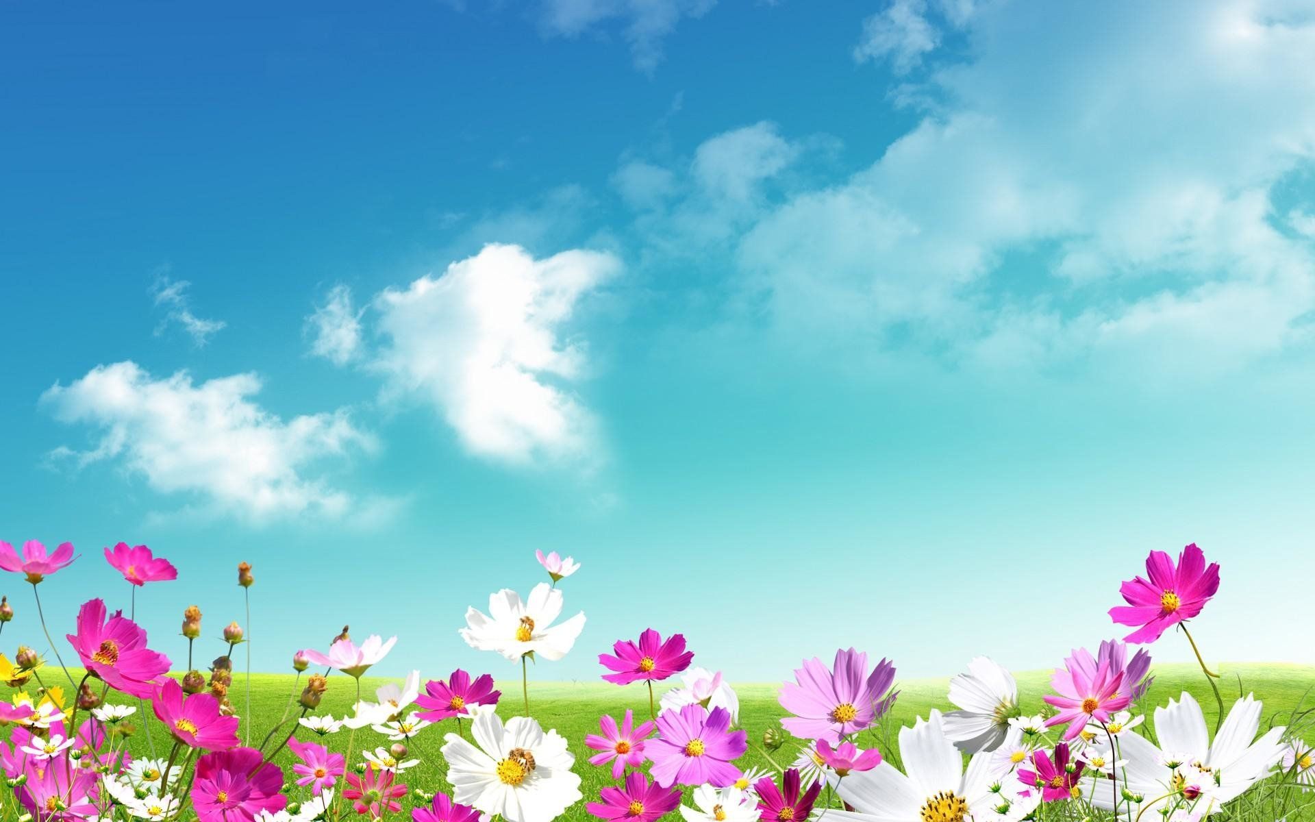 Welcome Spring! HD Wallpaper