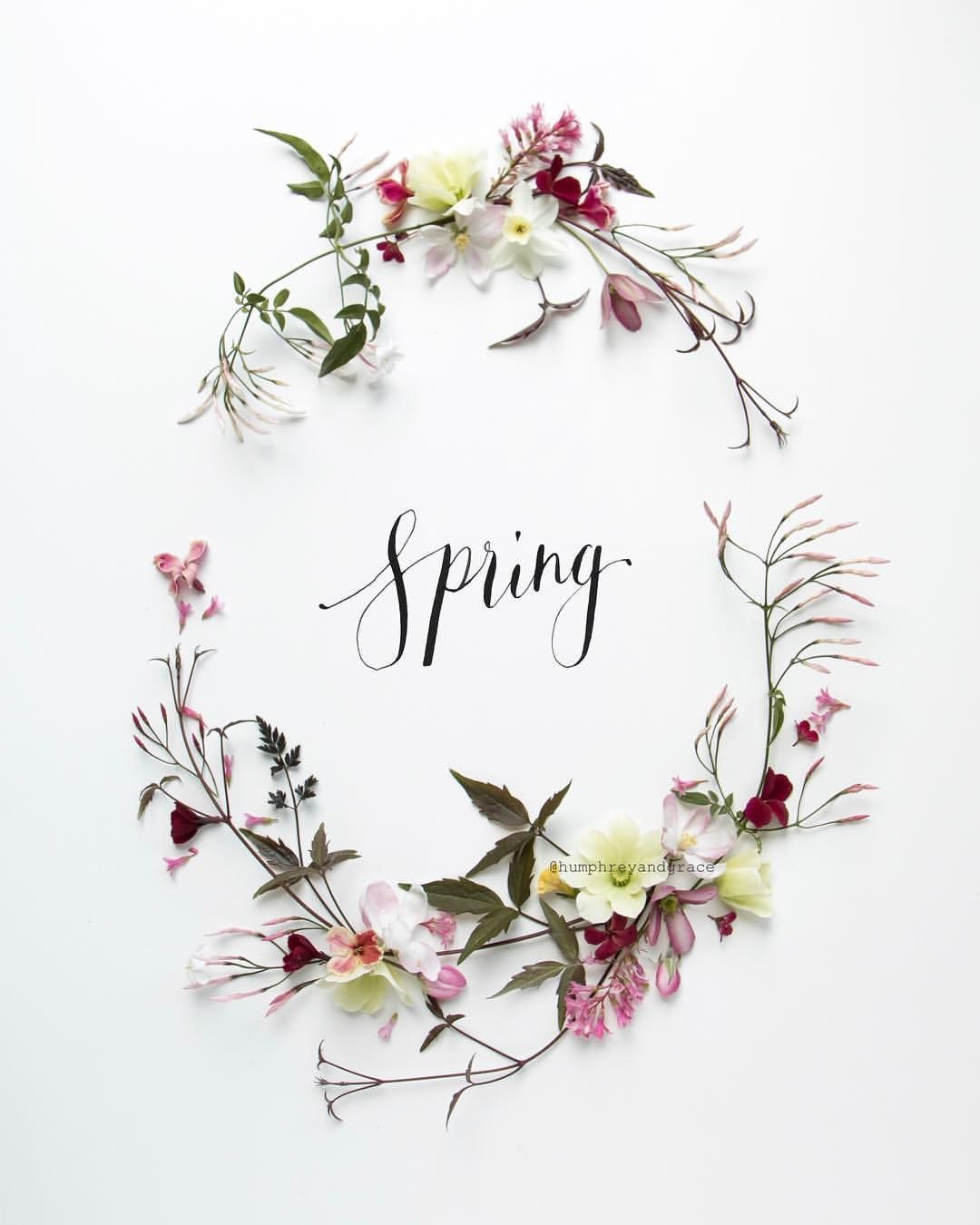 Hello Spring! Almost spoilt for choice with flowers from