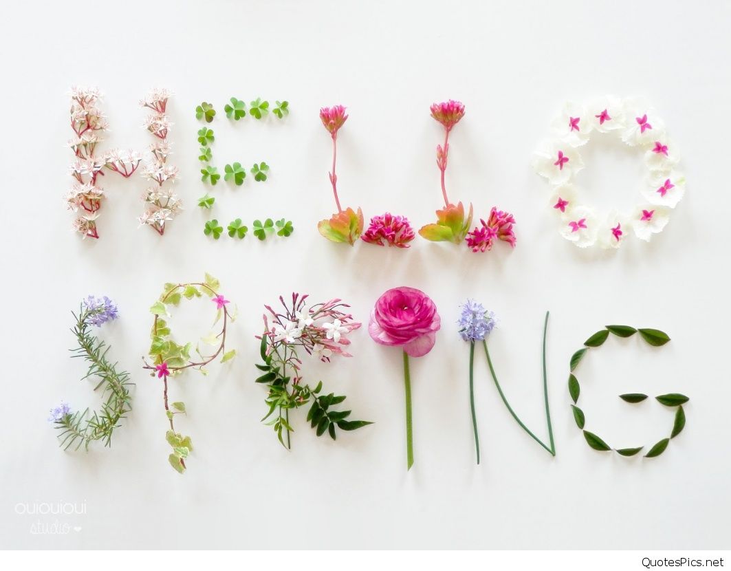 Hello spring beautiful flower wallpaper