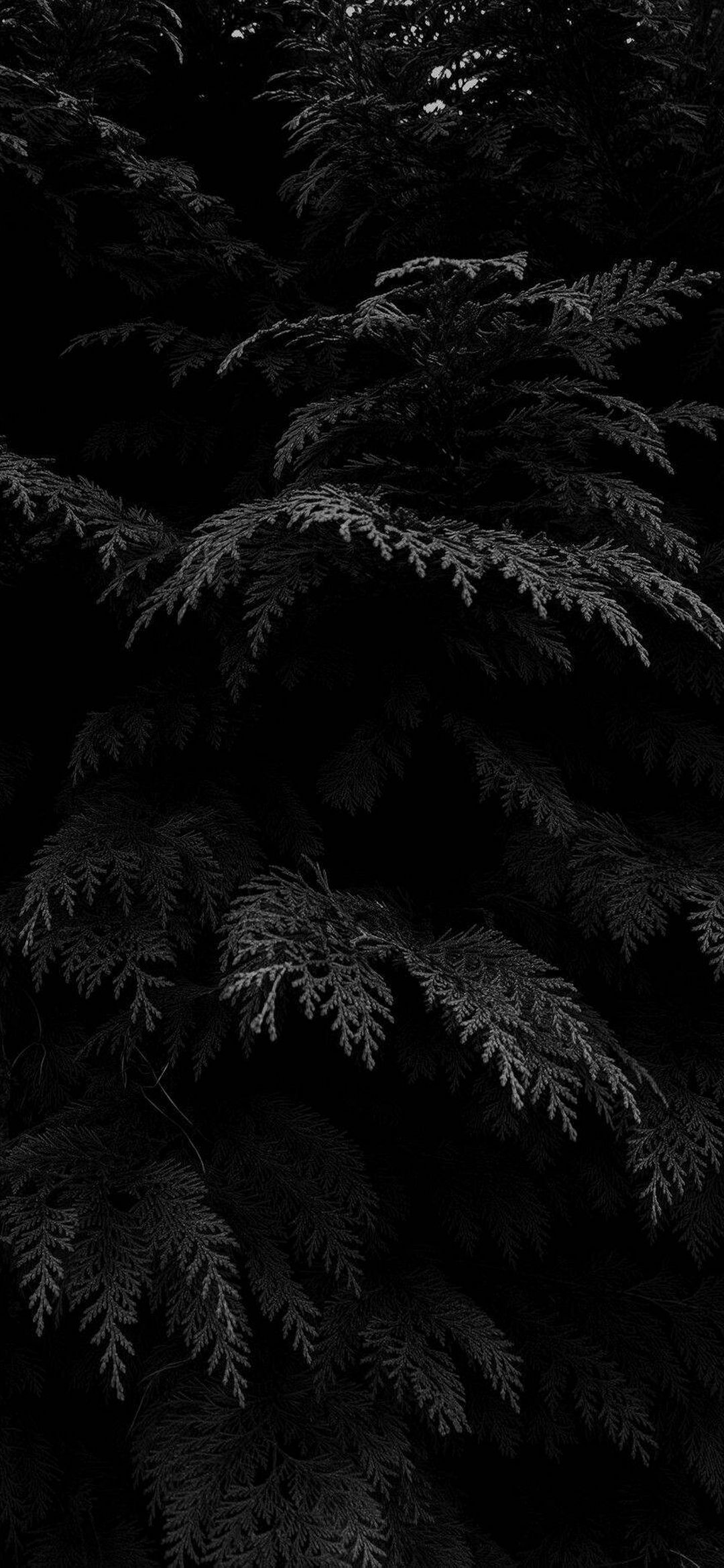 Black Phone Wallpapers