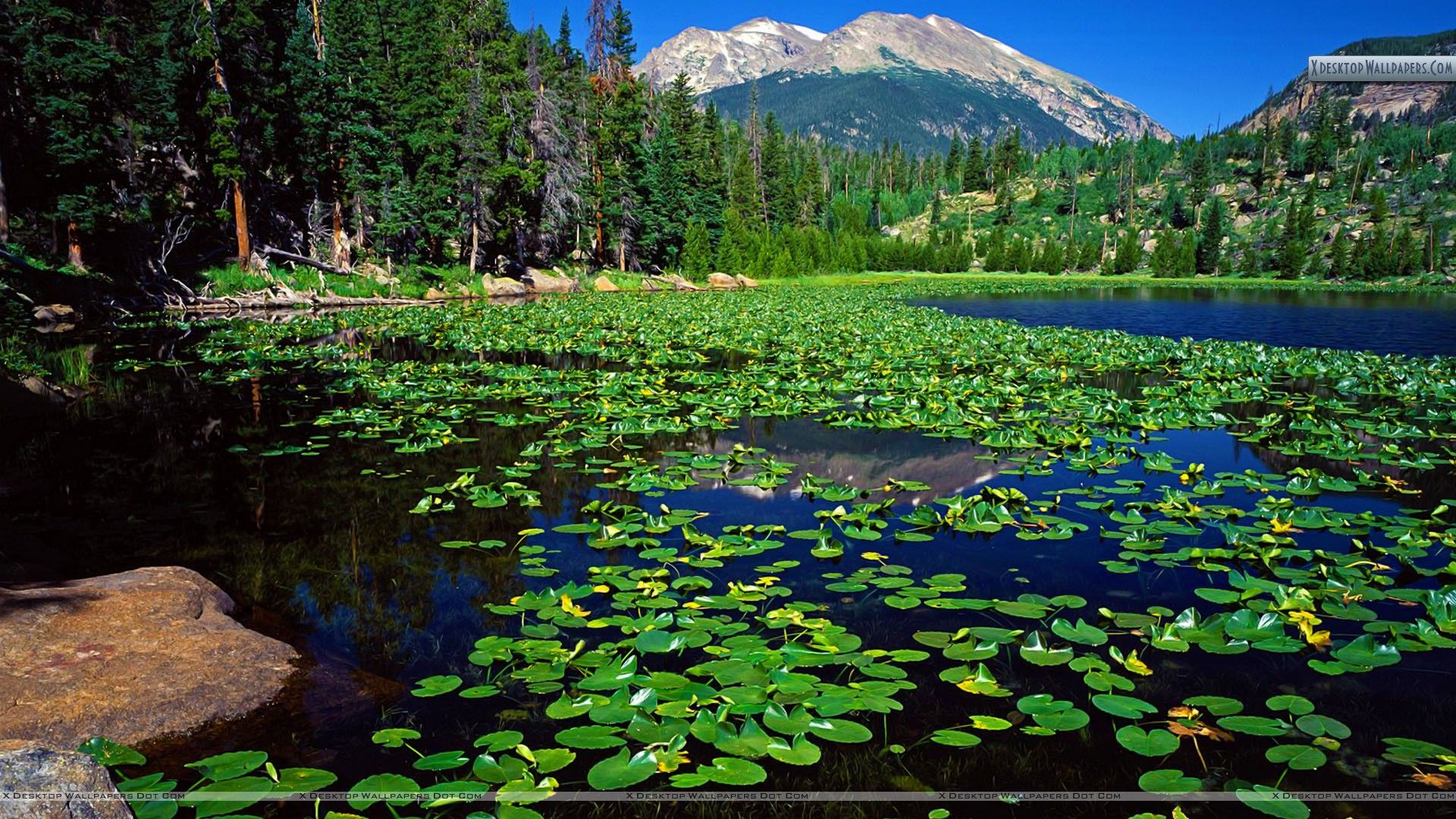 Free download Lake Stones Mountain Rocky Mountain National Park
