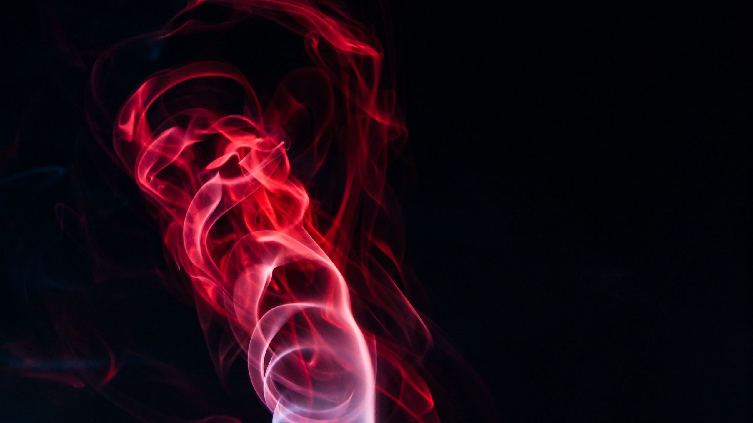 Download wallpaper 2560x1440 colored smoke, shroud, bunches, red