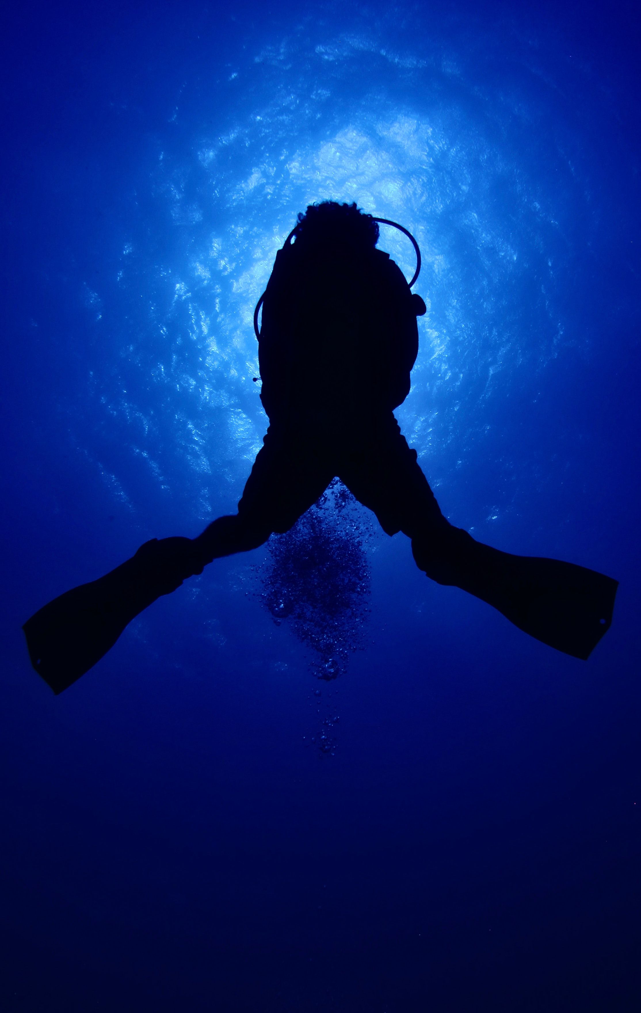 Scuba Diving Picture [HD]. Download Free Image