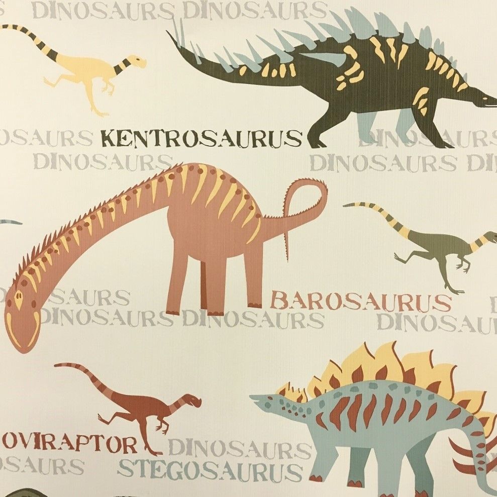 Dinosaur Wallpaper Dublin