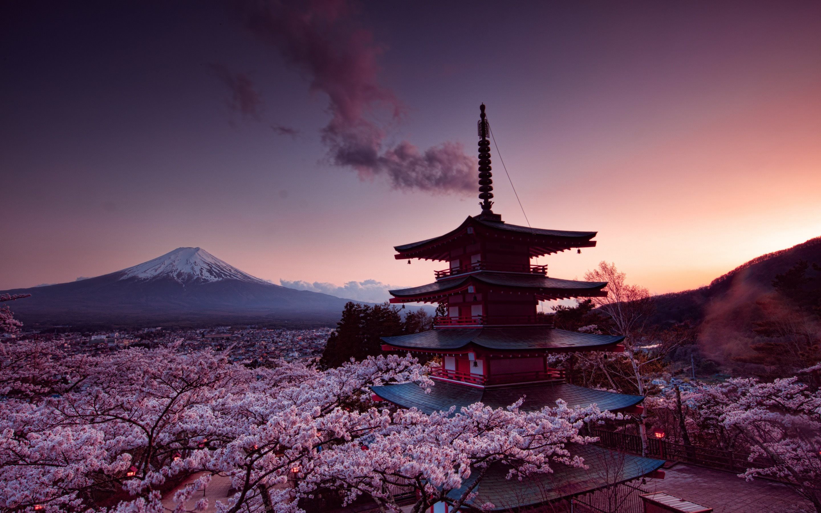Download wallpaper Sunset, Japan, Fuji, mountain, spring, sakura