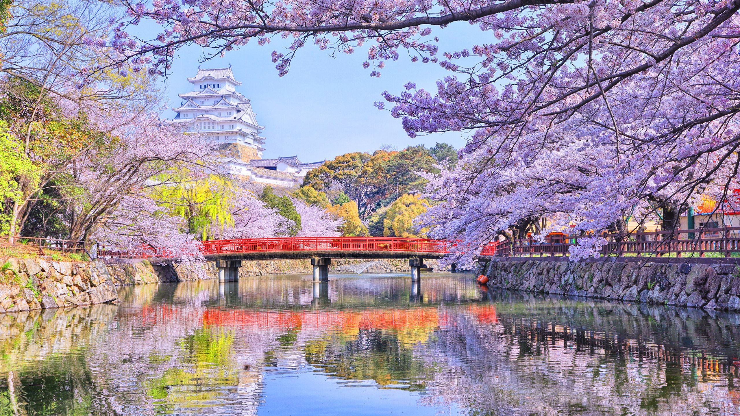 image Tokyo Japan Nature Spring Bridges Rivers Flowering 2560x1440
