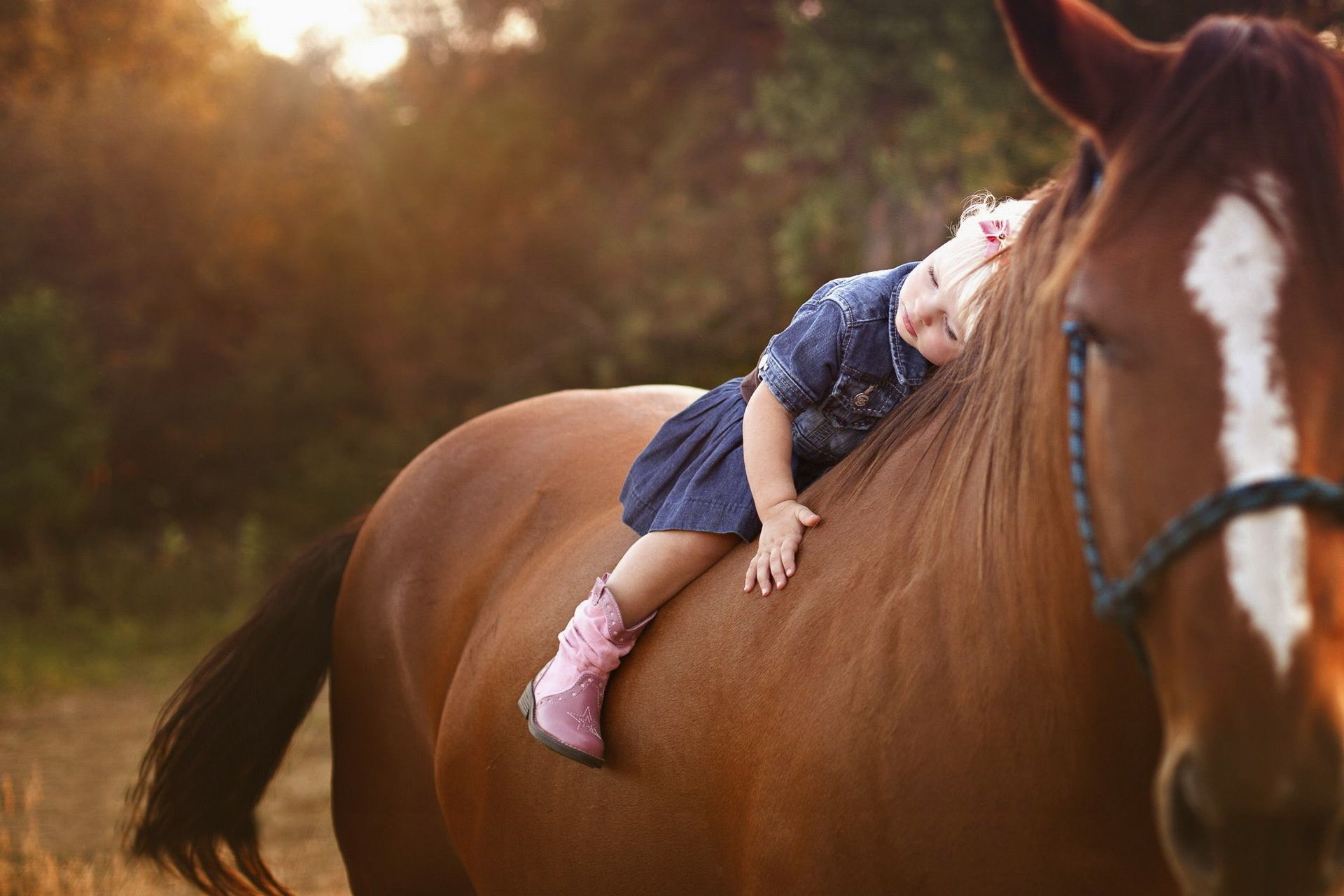 Wallpaper. Children. photo. picture. child, girl, top, horse, horse