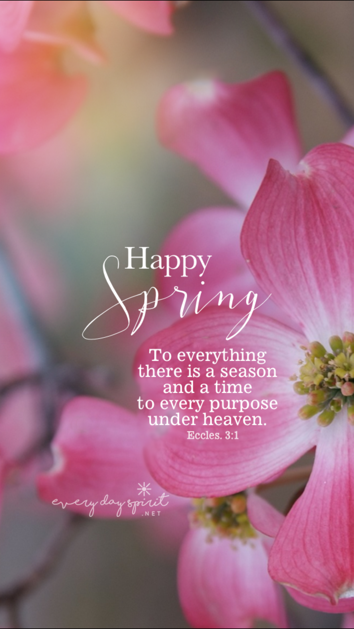 Spring. Spring quotes, Springtime quotes, Flower quotes
