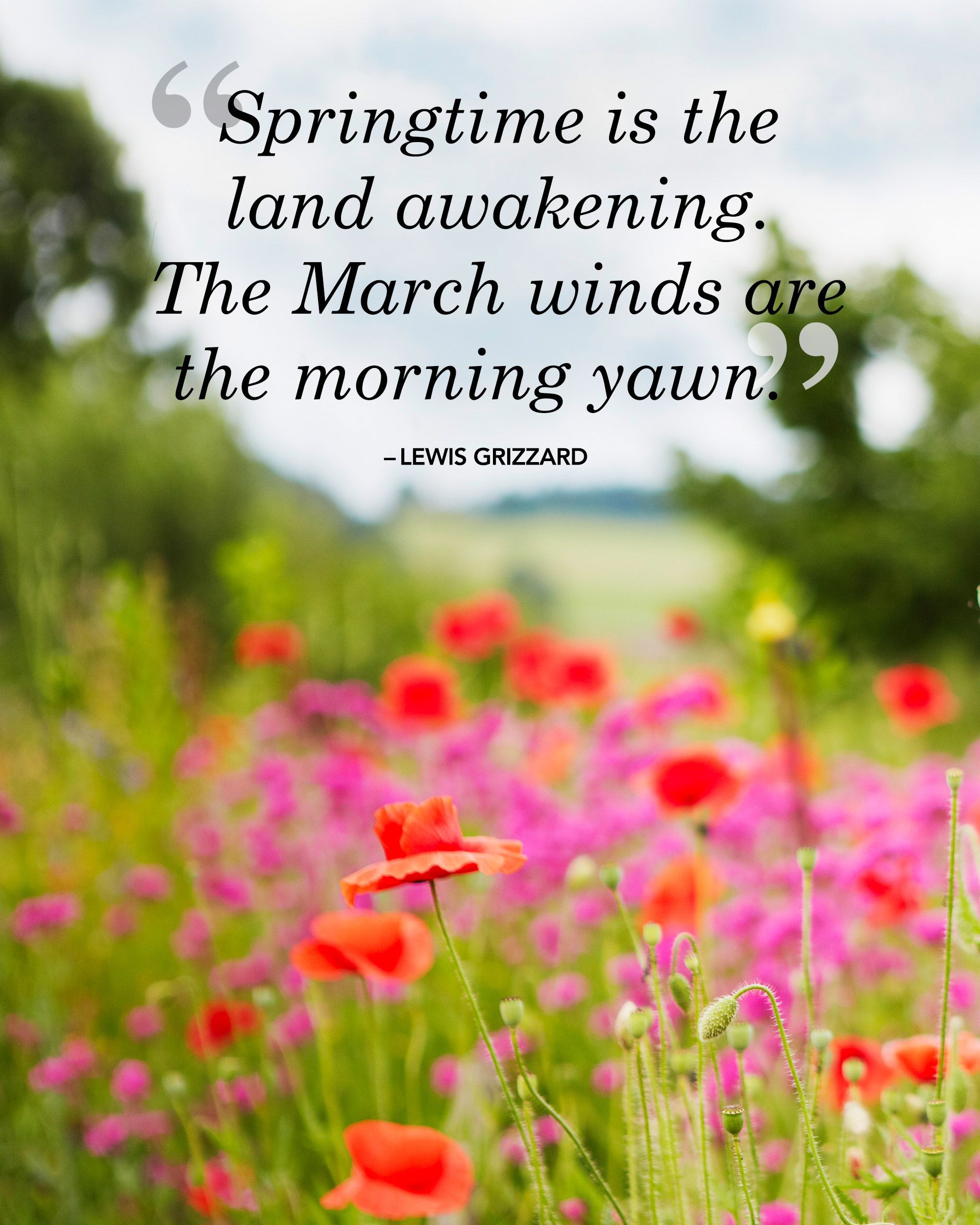 The Sweetest Spring Quotes to Welcome the Season of Renewal