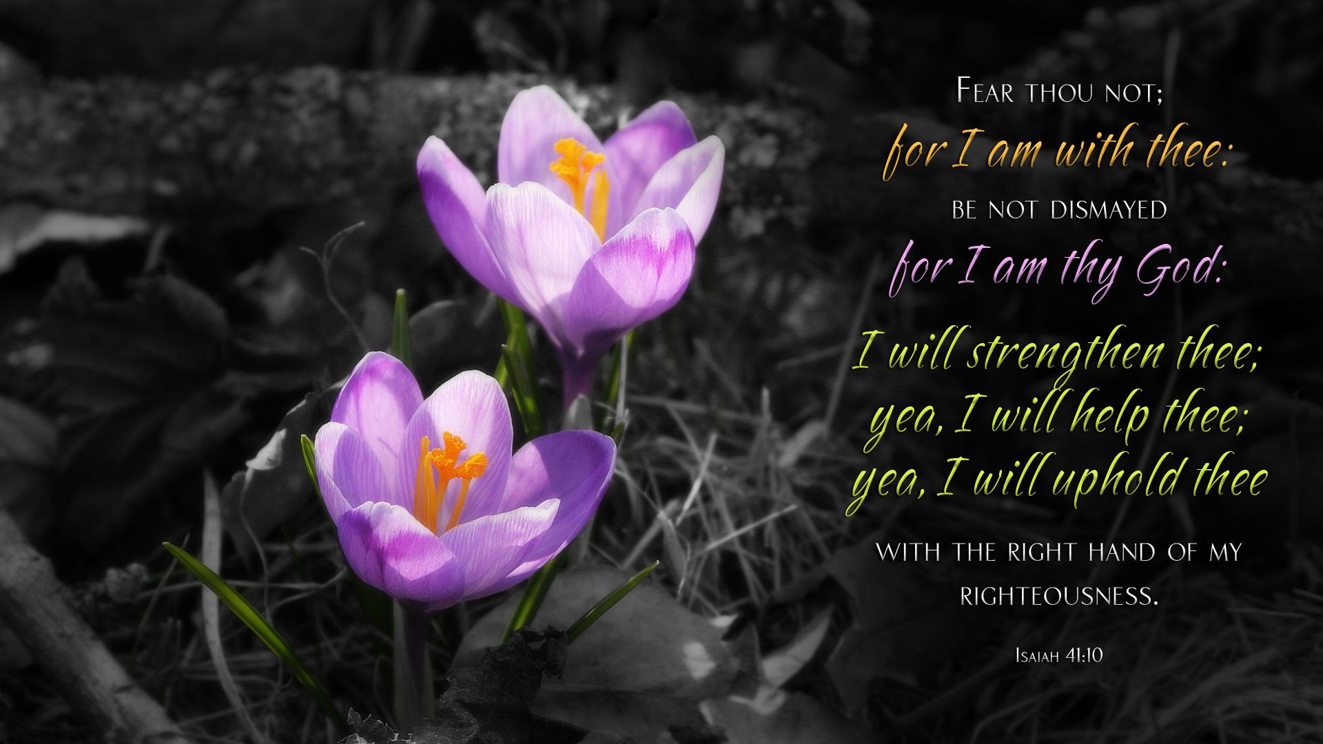 20 Perfect spring wallpaper with bible verses You Can Use It free ...