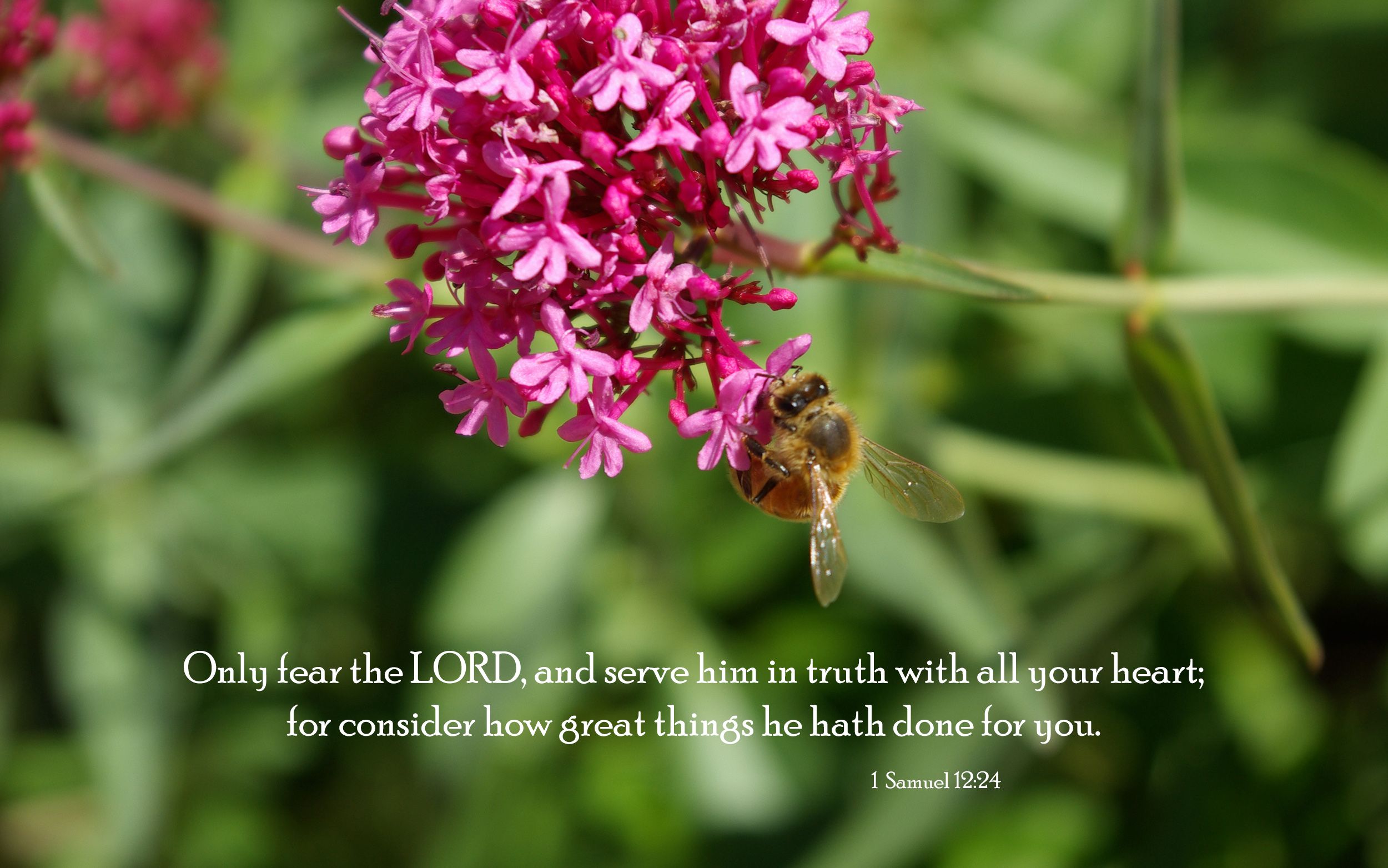 Bible & Nature Desktop Background and Uplifting