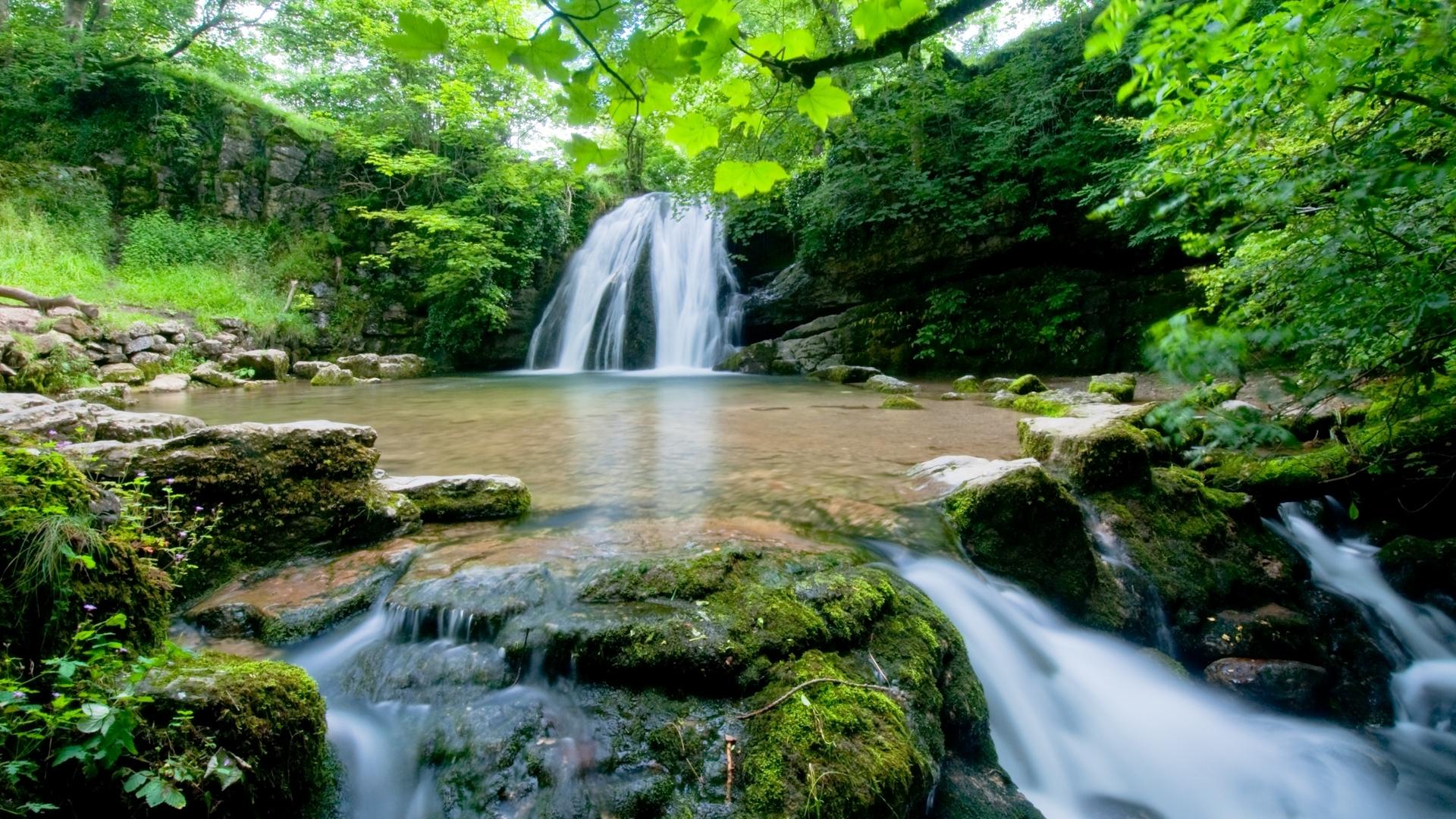 Free download Outstanding Spring Forest Waterfall Desktop iPhone