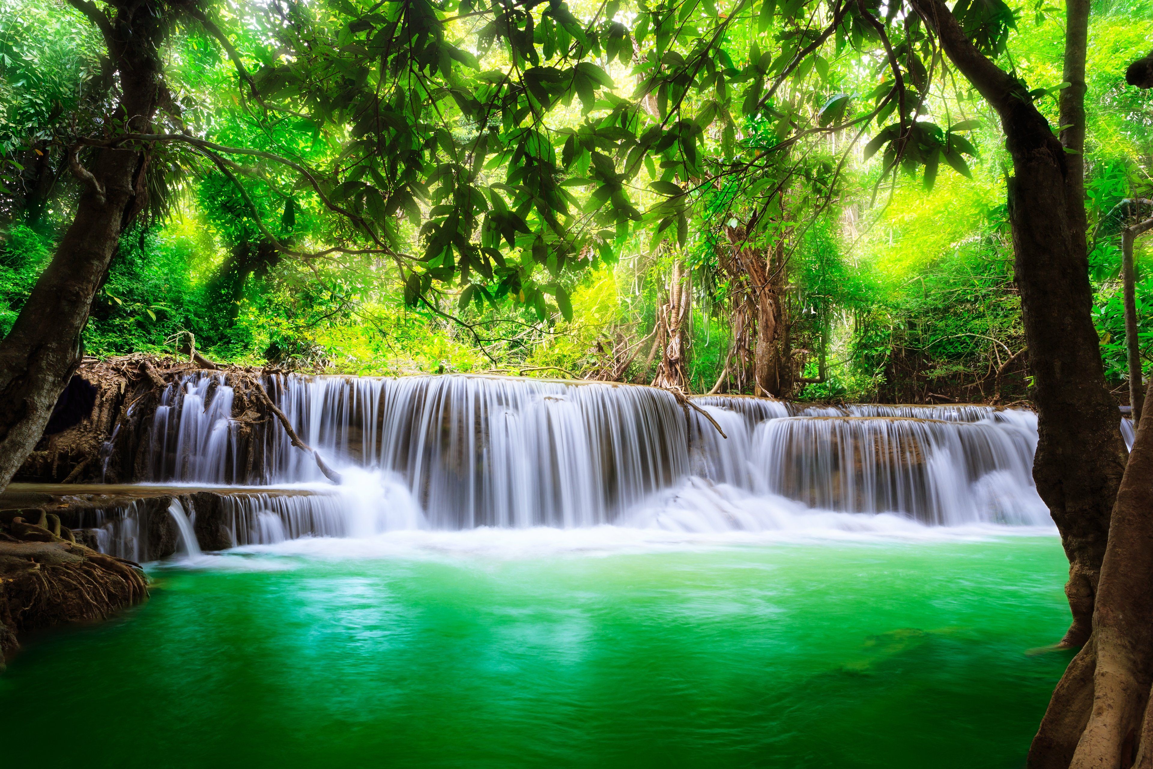 waterfall, Lakes, Nature, Trees, Jungle, Water, Spring, Landscapes