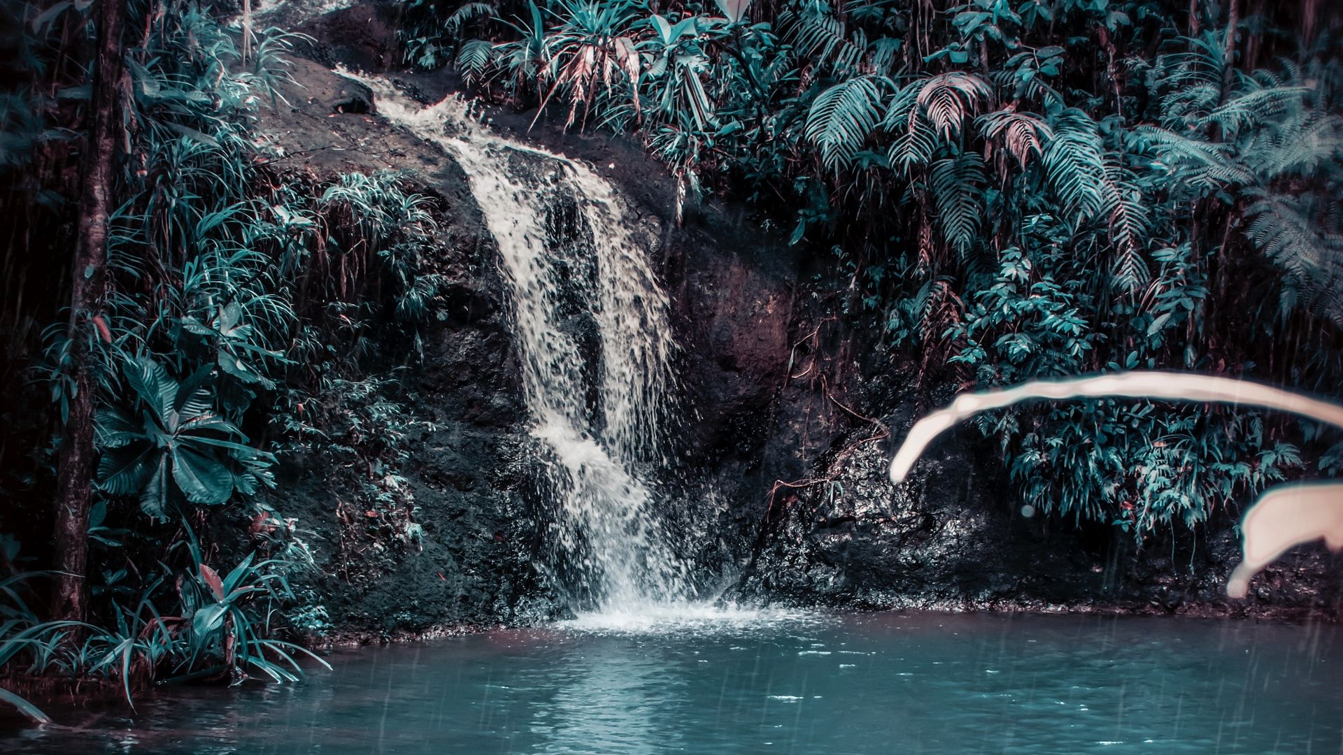 Download wallpaper 1920x1080 waterfall, stream, forest, jungle