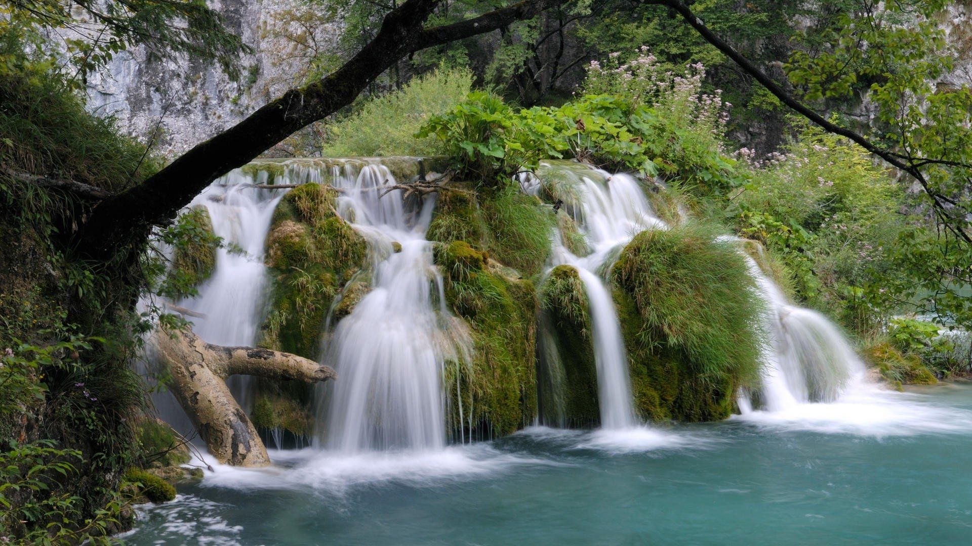 Waterfall in Spring Forest HD Wallpaper. Background Image