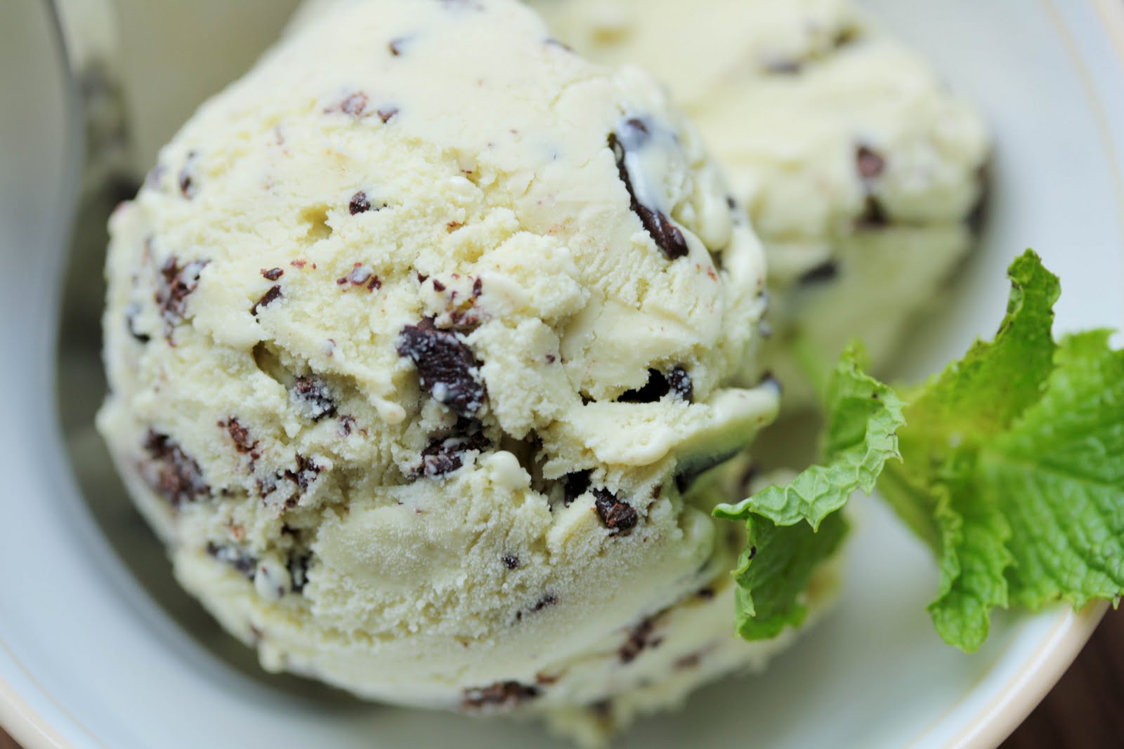 Mint Chocolate Chips Ice Cream Cream Photo
