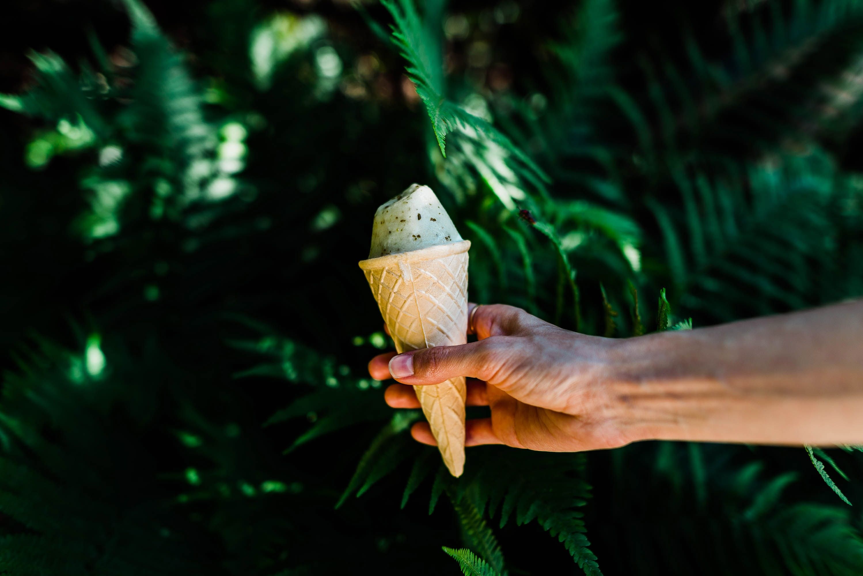 2997x2000 #spring, #arm, #holding ice cream, #PNG image