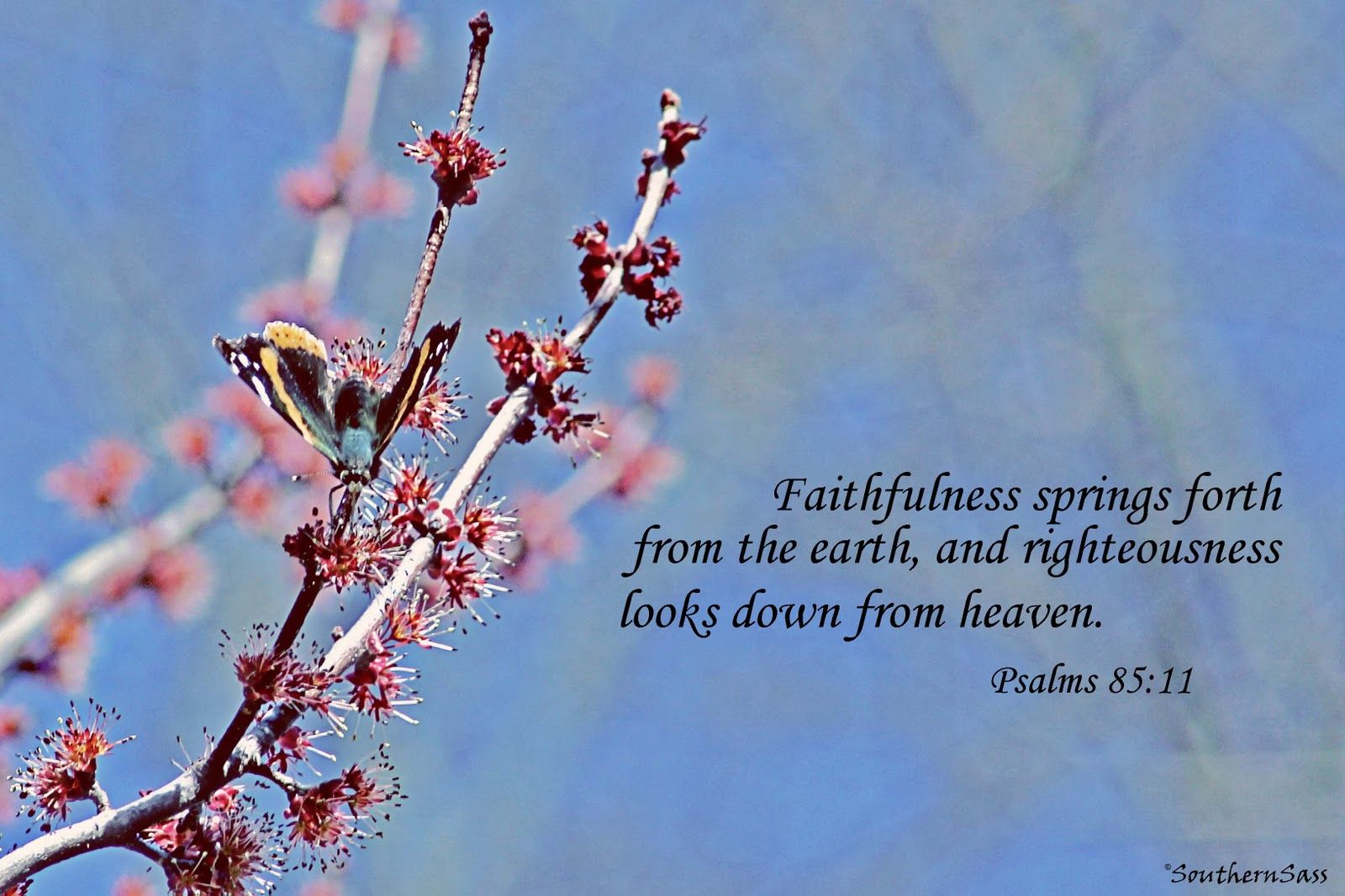 Free Spring Wallpaper with Scripture