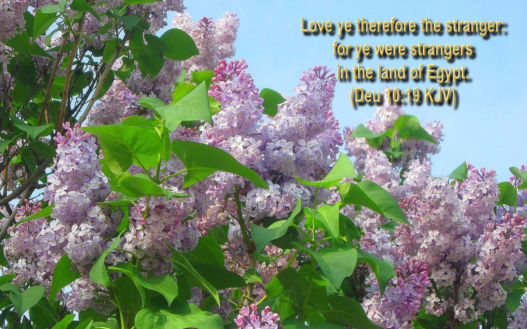 Religious Spring Wallpapers Wallpaper Cave