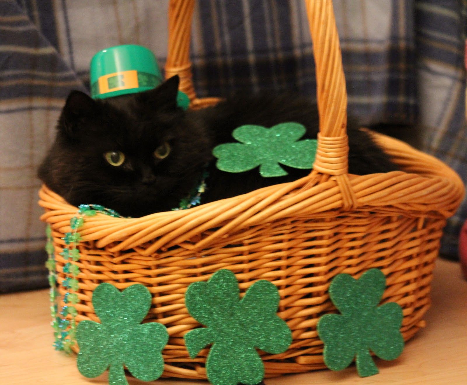St Patrick's Day Cat Wallpaper