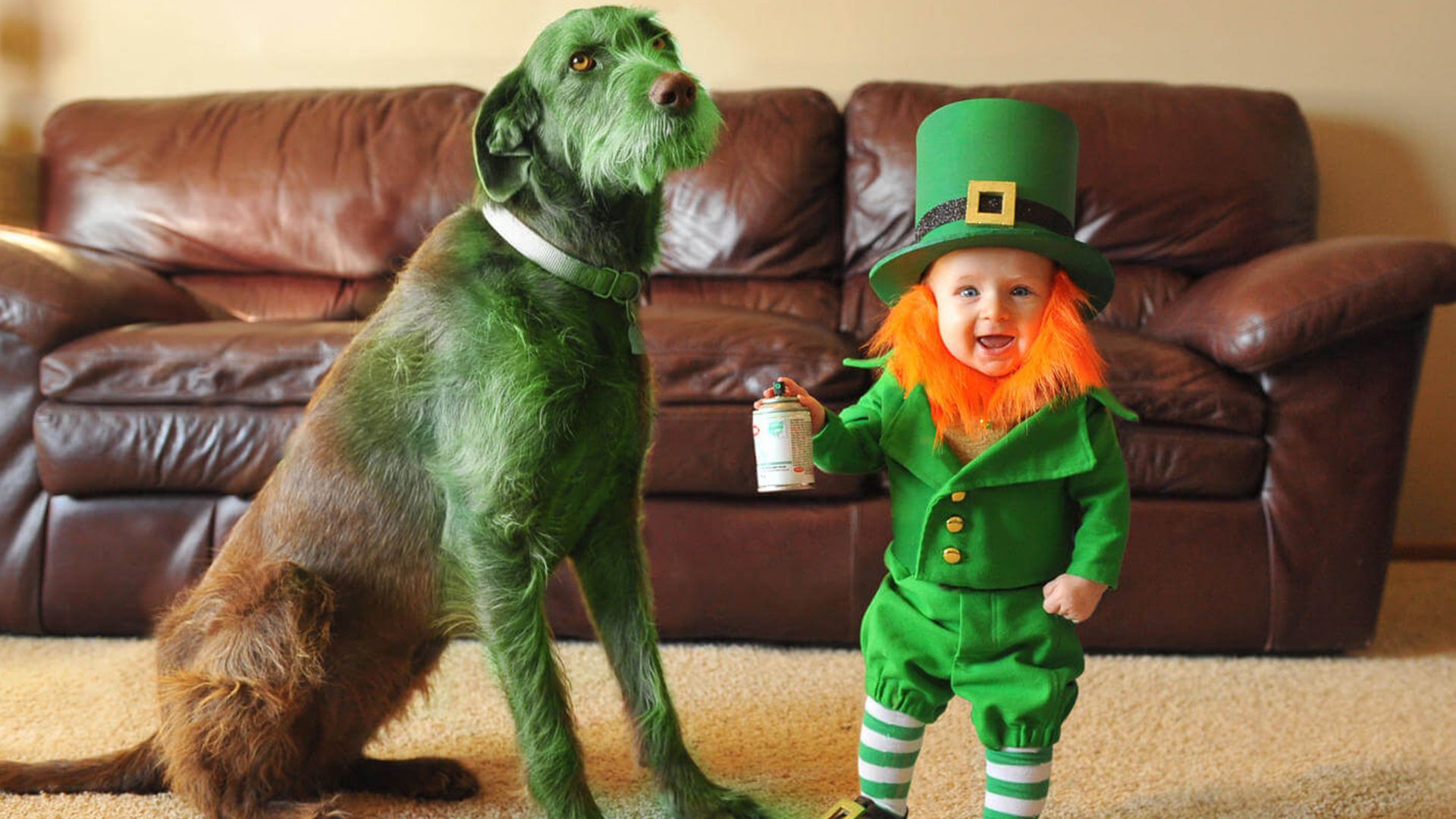 St. Patrick's Day for kids: See dad's cute leprechaun photo