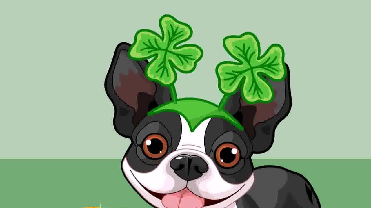 Samsung Theme Live Wallpaper St.Patrick Day French Dog