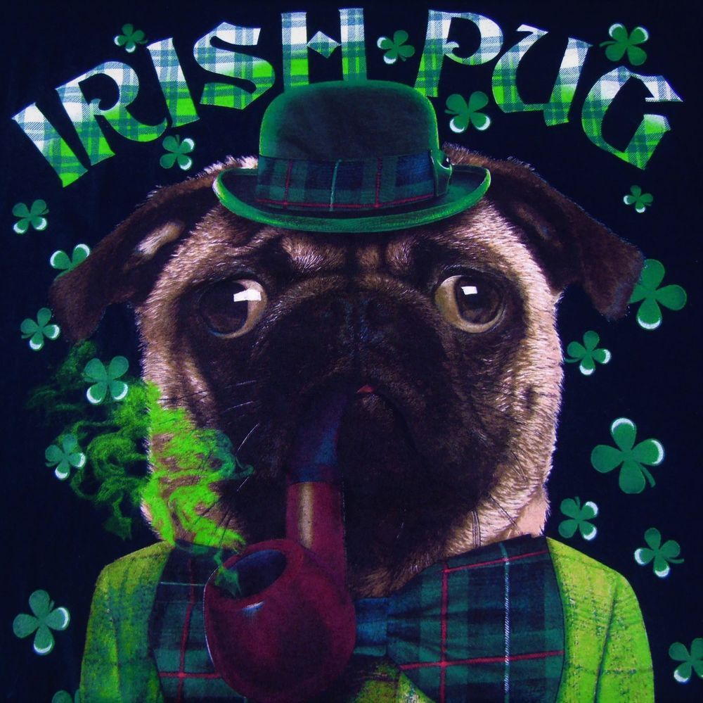 Irish Pug Lucky T Shirt Size Large St Patrick Day Tartan Plaid