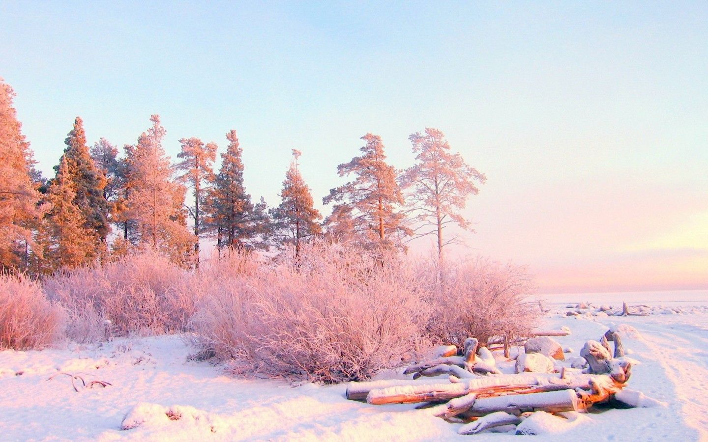 Nature Aesthetic Wallpaper