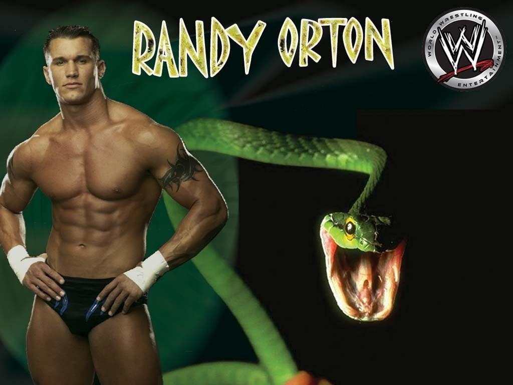 Randy Orton immagini randy orton the vipera, viper HD wallpaper