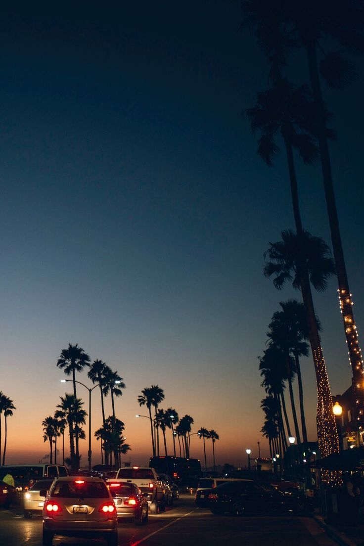 cali palm trees and a sunset. Nature iphone wallpaper, Palm trees