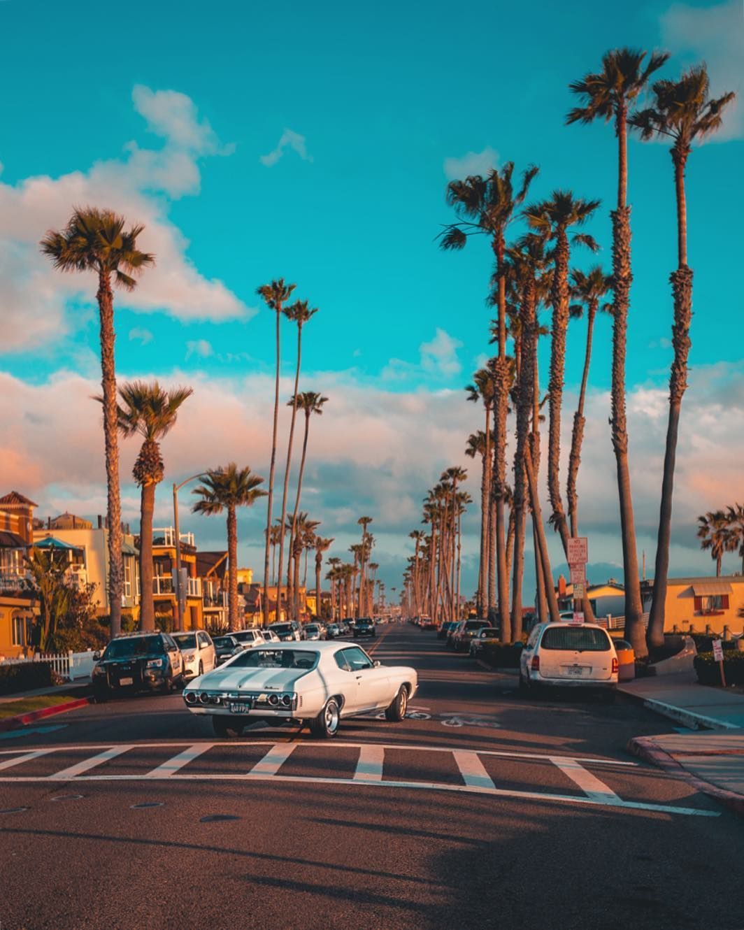 hello weekend. California palm trees, Picture