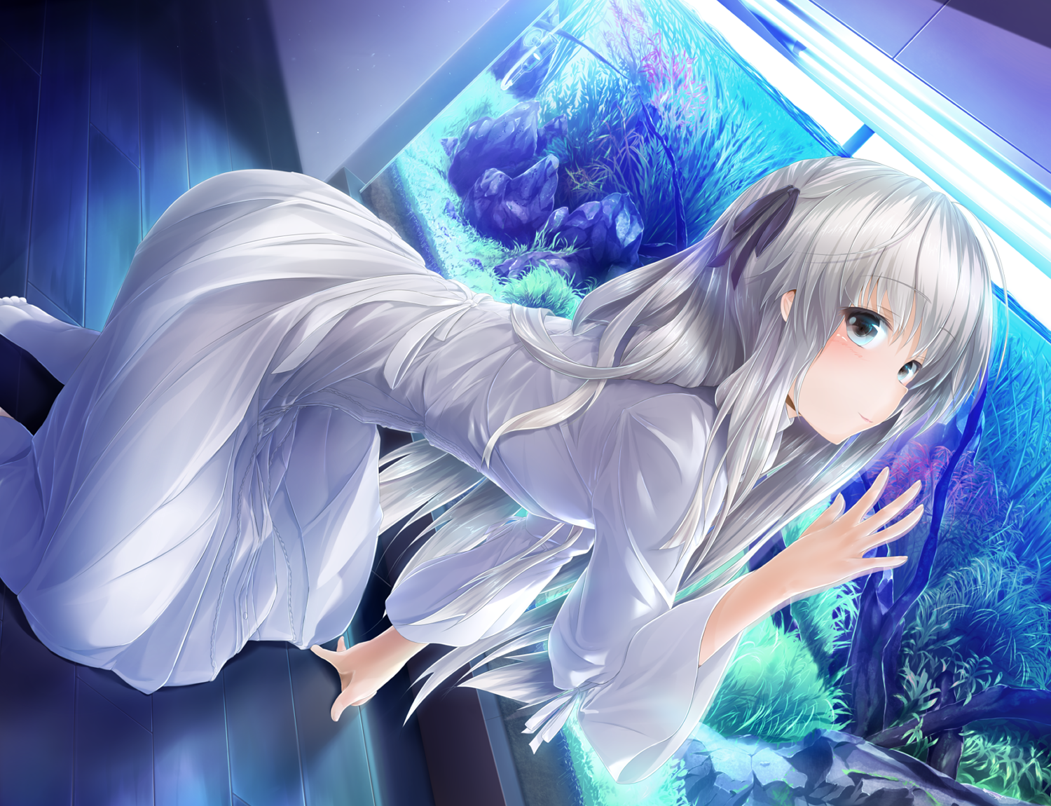 Best Yosuga no Sora image. Yosuga no sora, Sora, Anime
