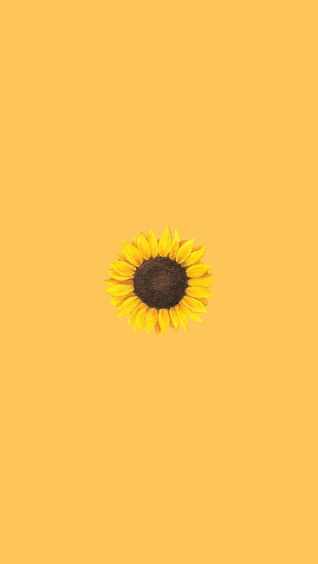 Yellow Aesthetic Sunflowers HD Wallpaper Desktop
