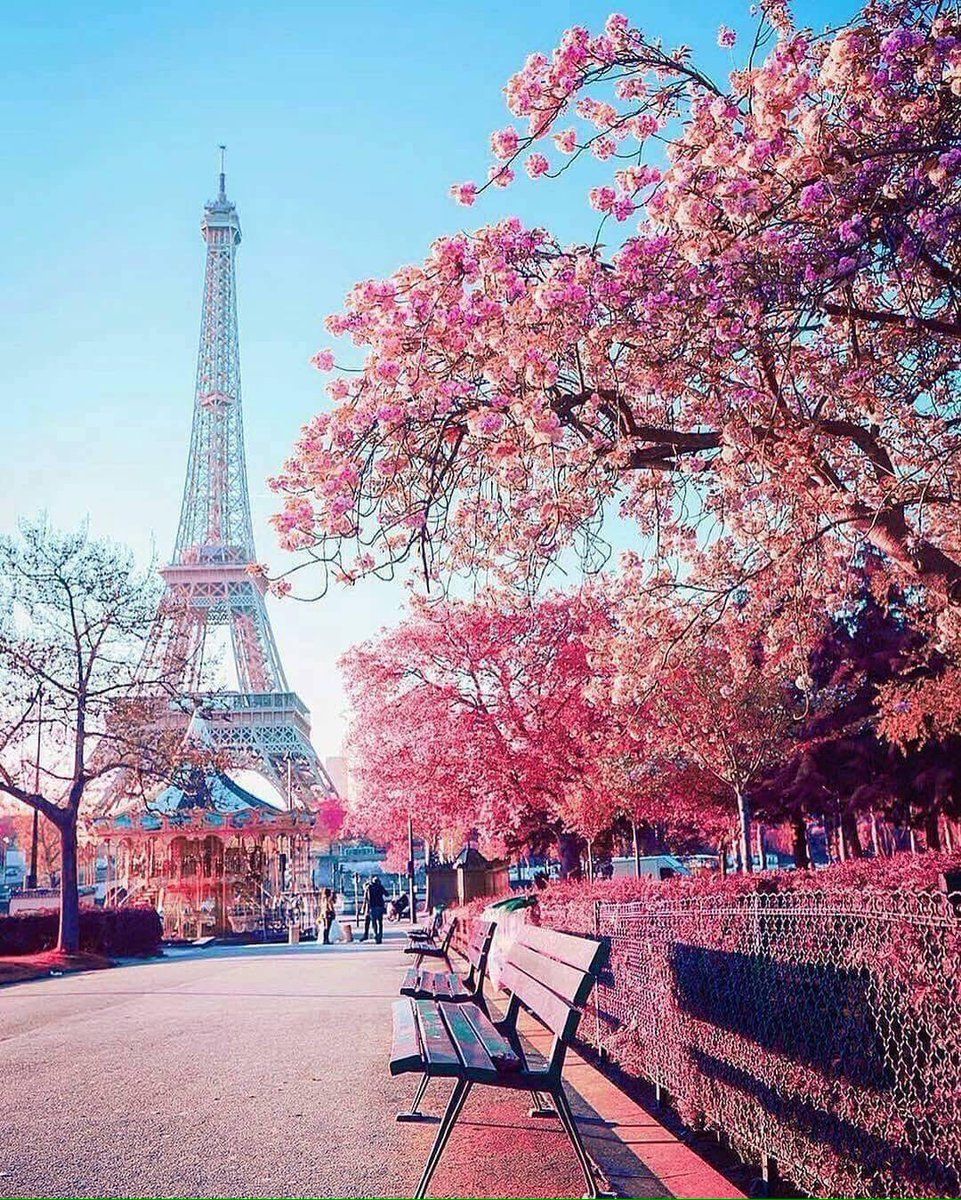 Spring in Paris, France. Fotografi alam, Pemandangan khayalan