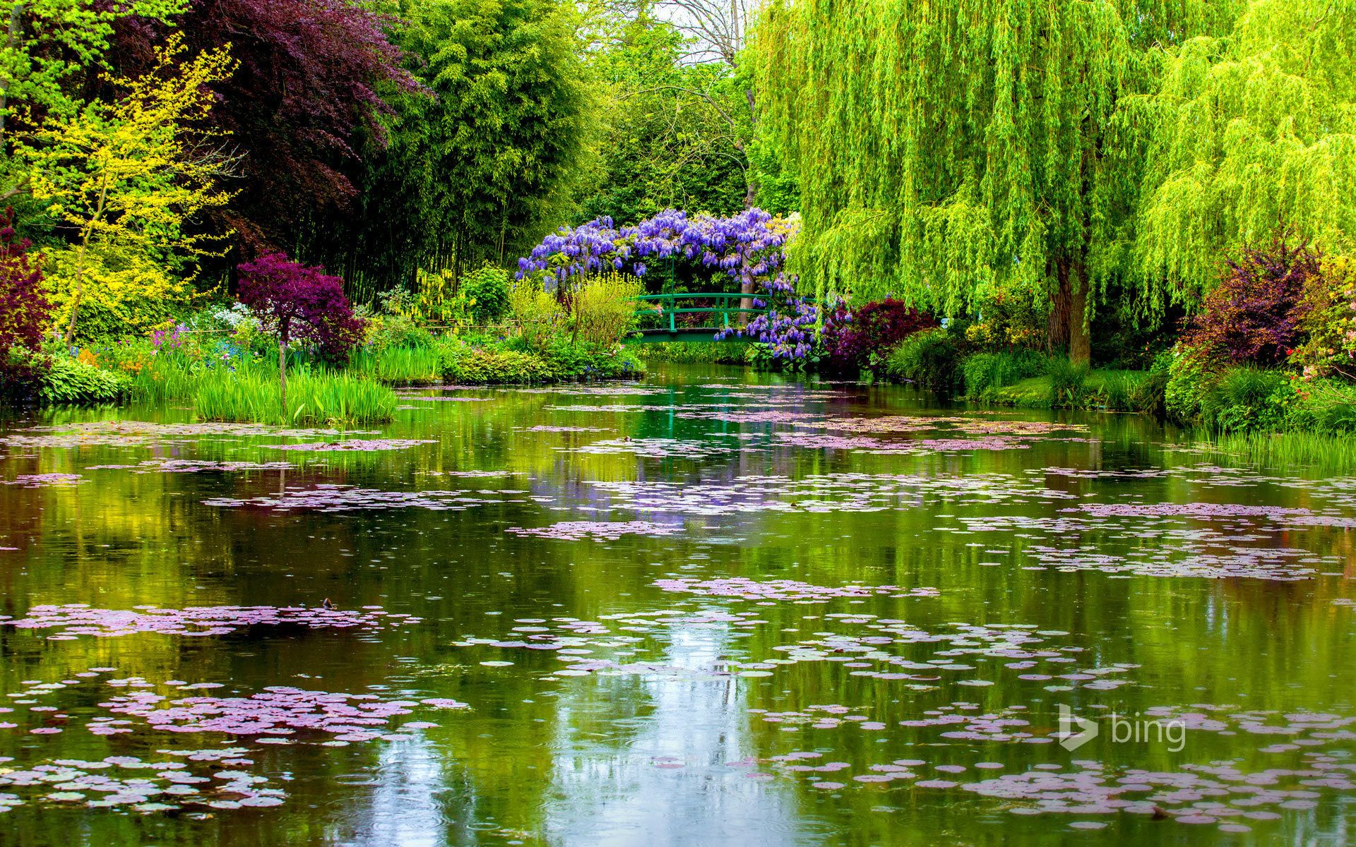 Wallpaper. Spring. photo. picture. nature, France, Park