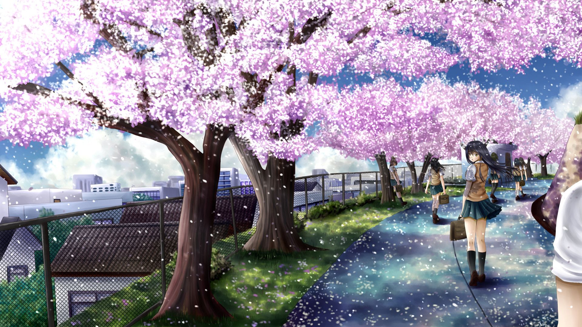 water Cherry Blossoms Japanese Spring Watercolor Anime Girls  Branches 